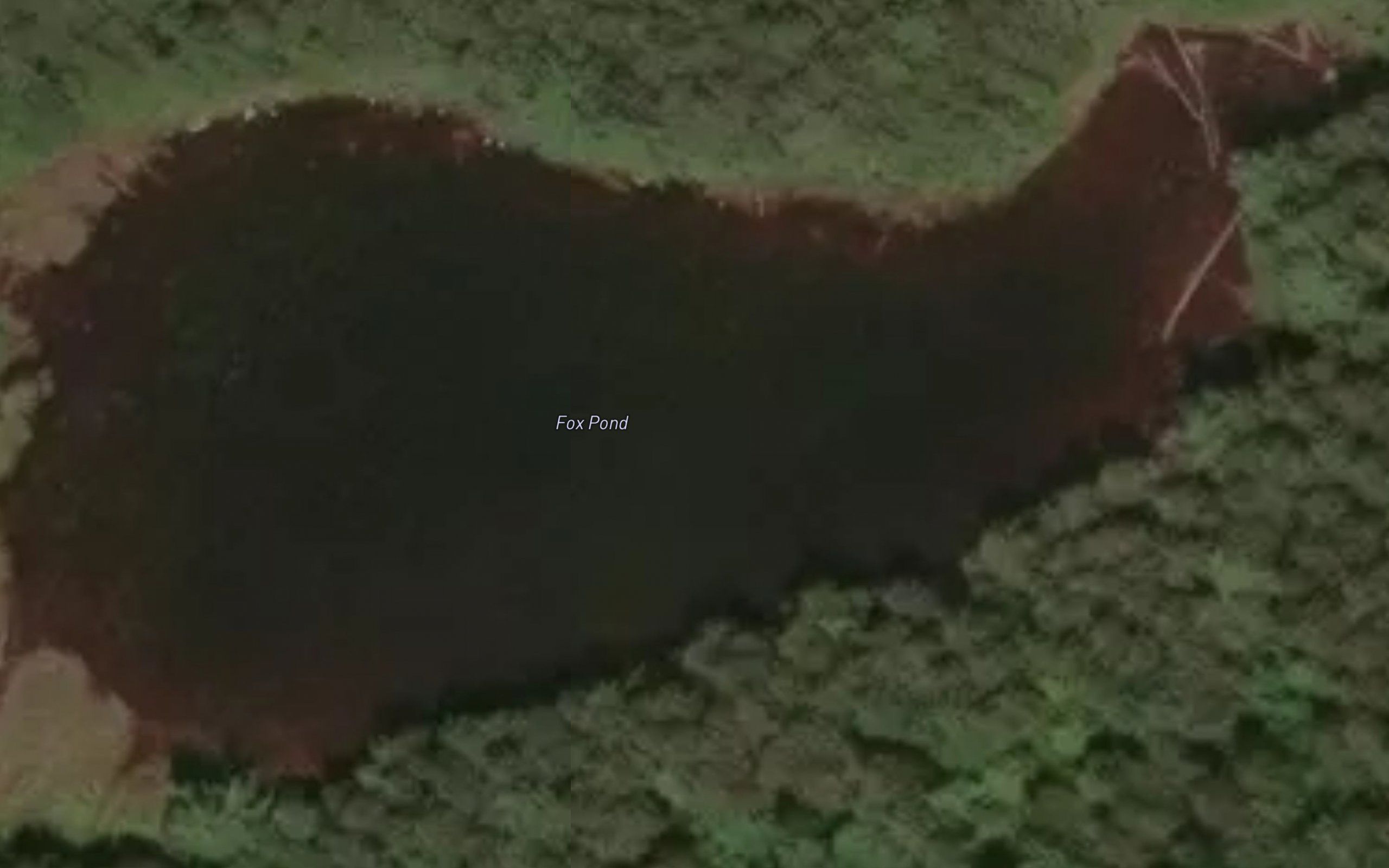 Fox Pond