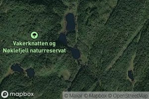 Skjerkholtlonene
