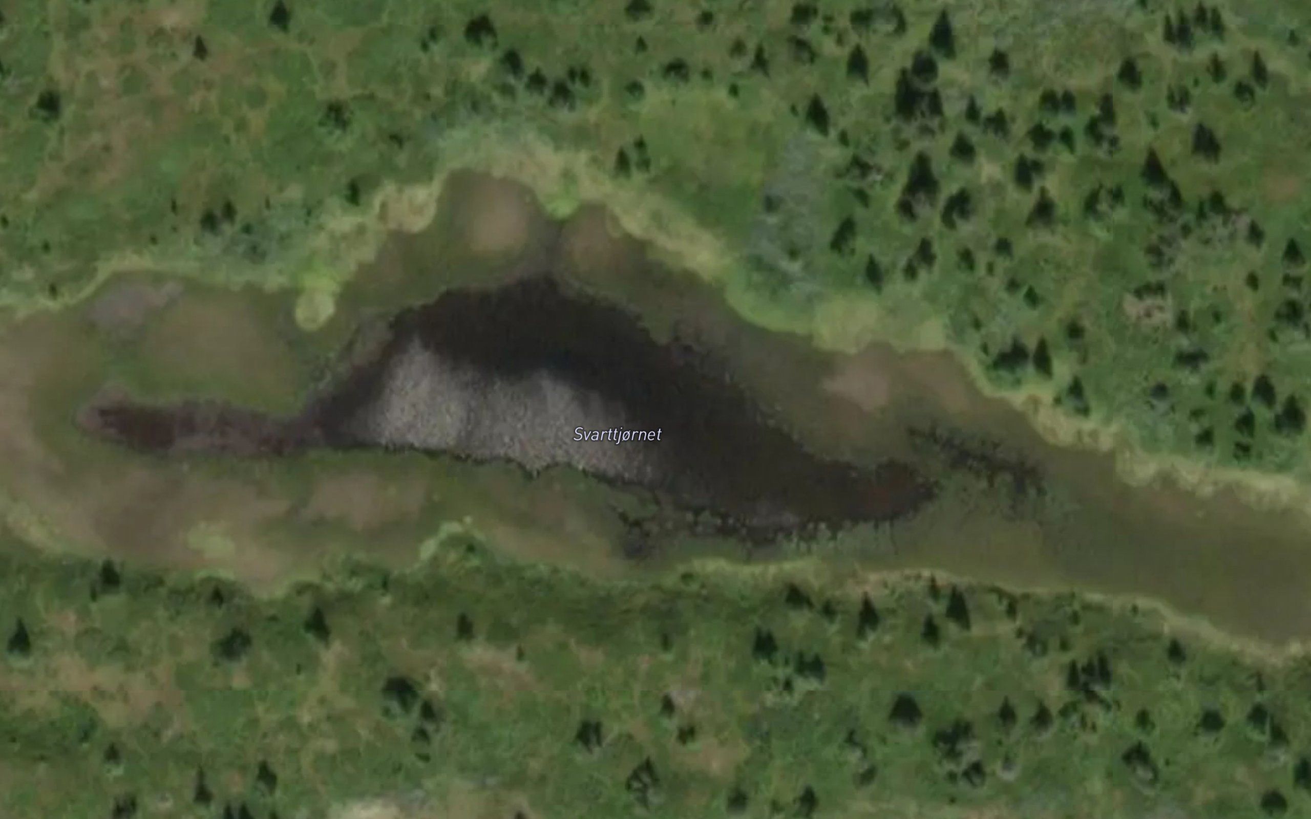 Svarttjonnet