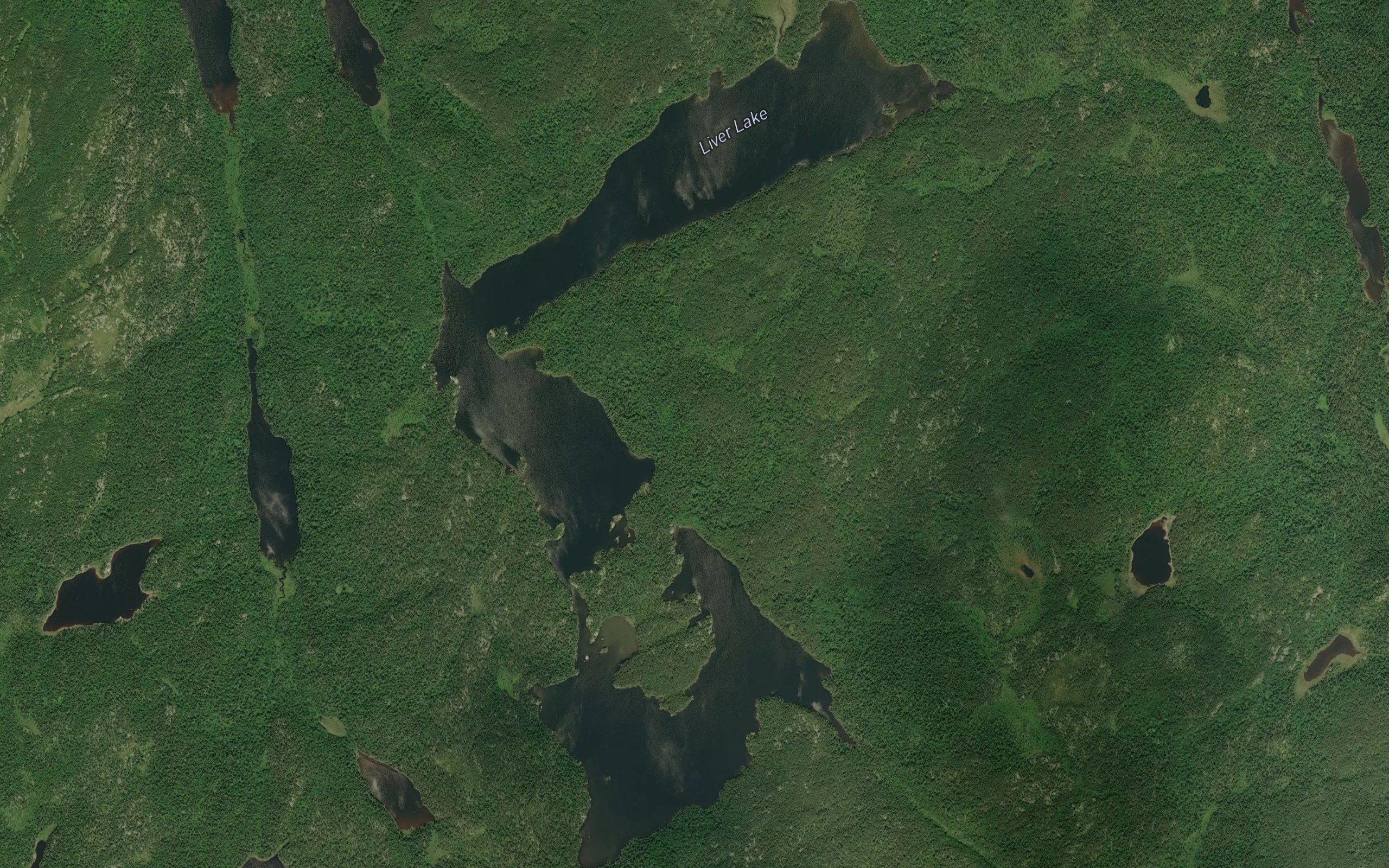 Liver Lake