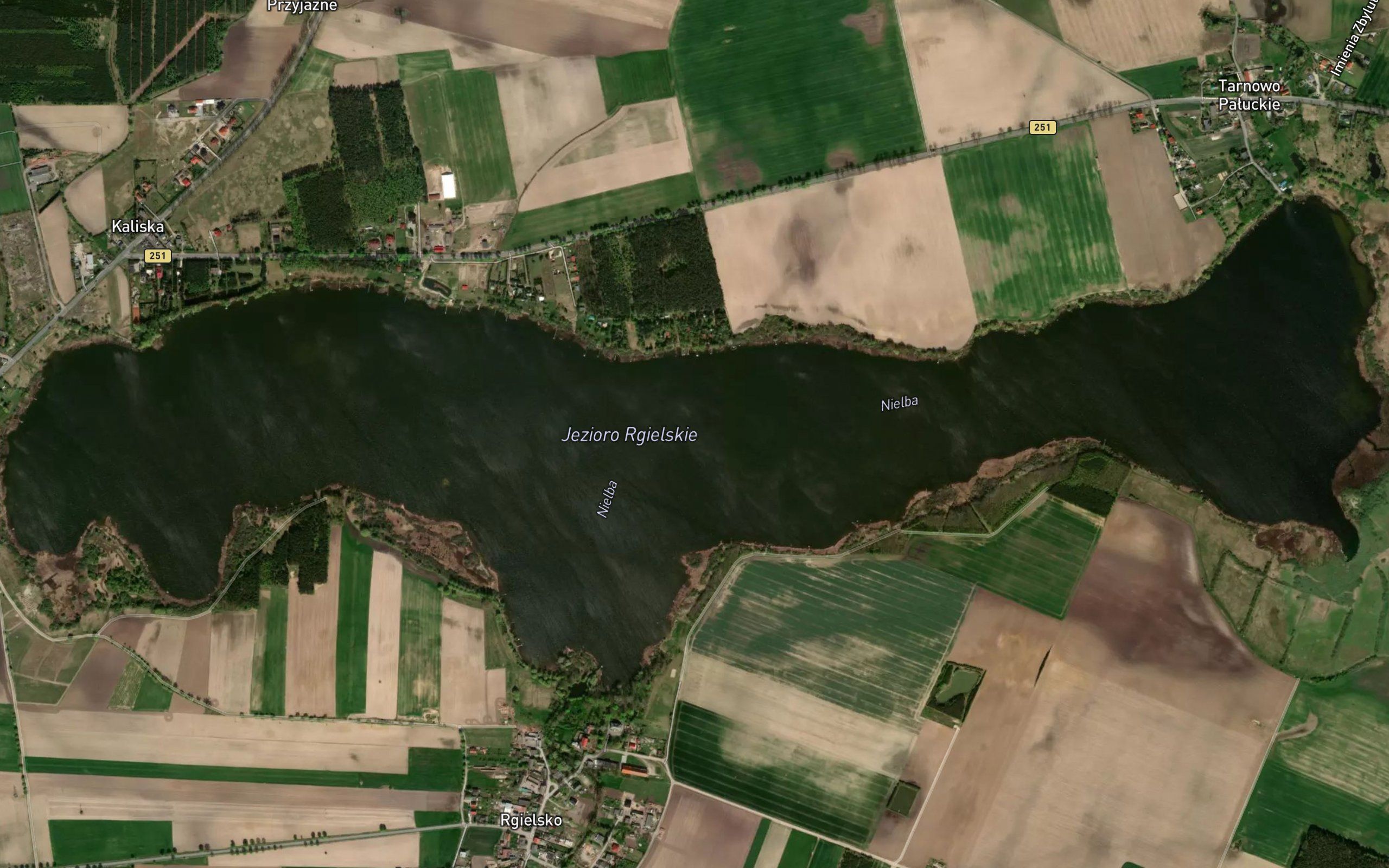 Jezioro Rgielskie