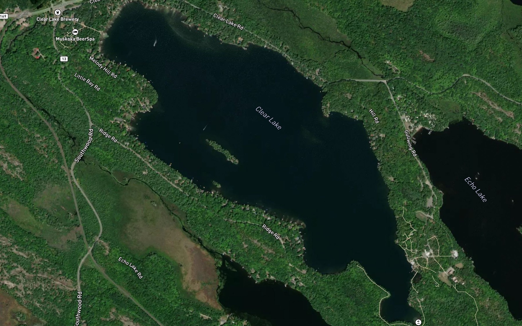 Satellite map of the Clear Lake