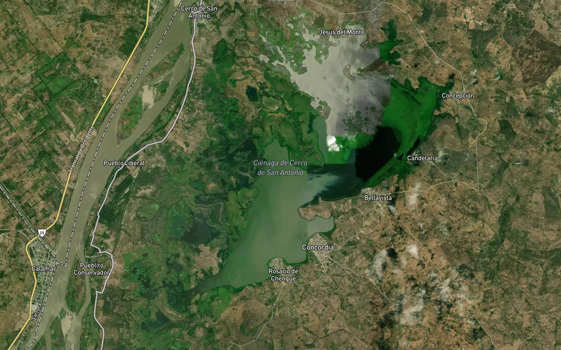 Satellite map of the Cienaga Cerro de San Antonio