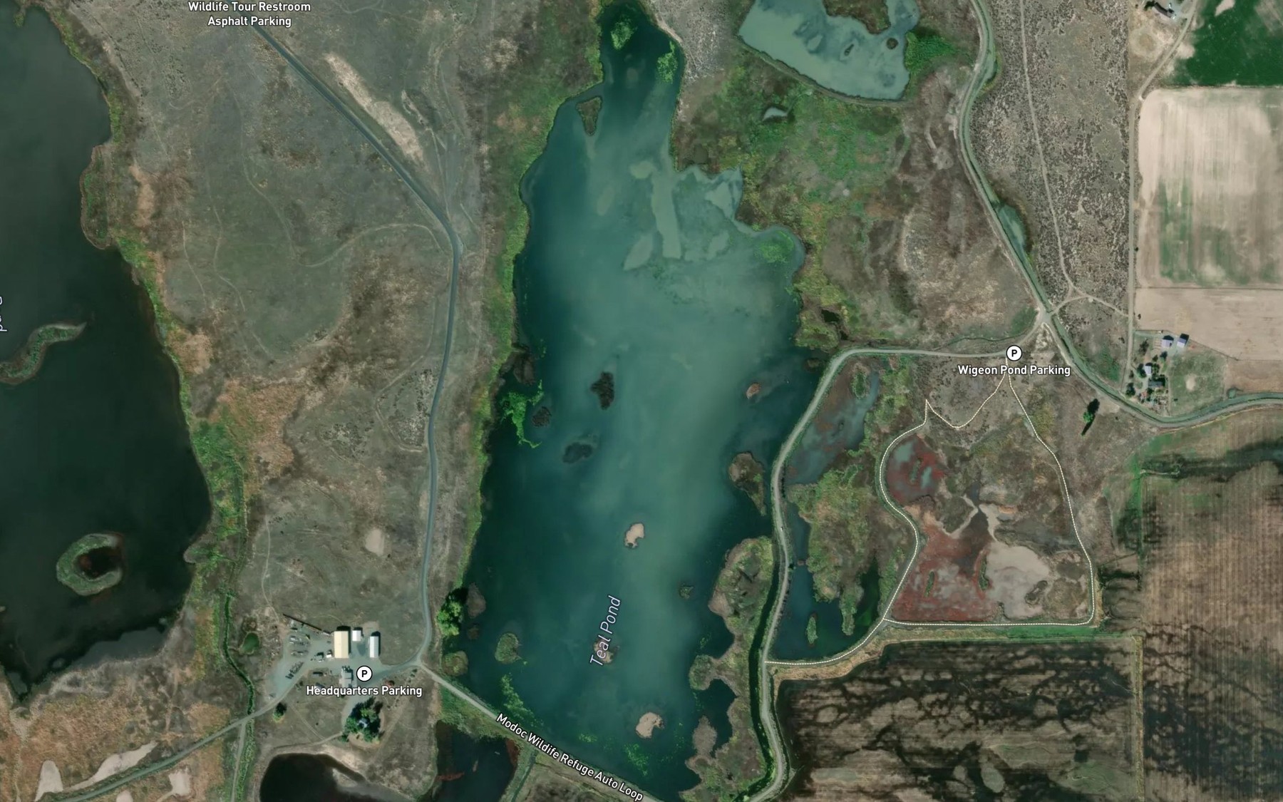Satellite map of the Teal Pond