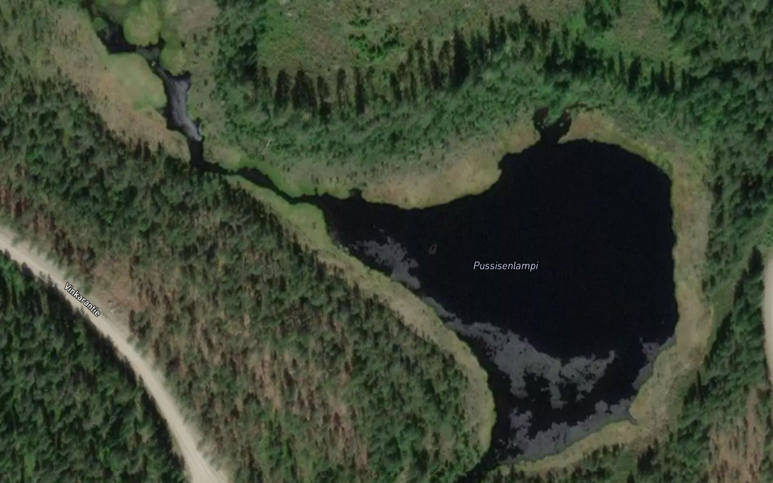 Pussisenlampi