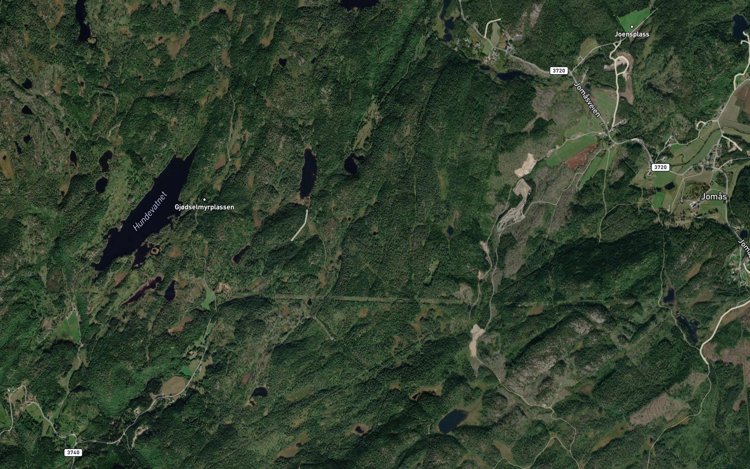 Bukketjonn