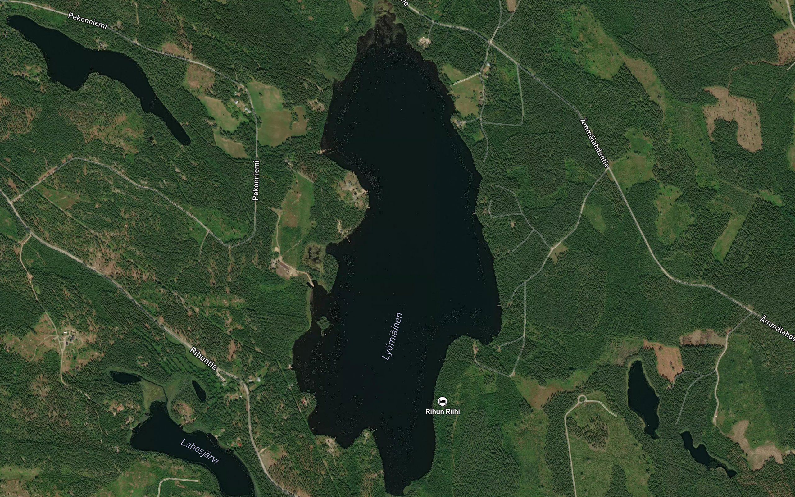 Lyomiainen