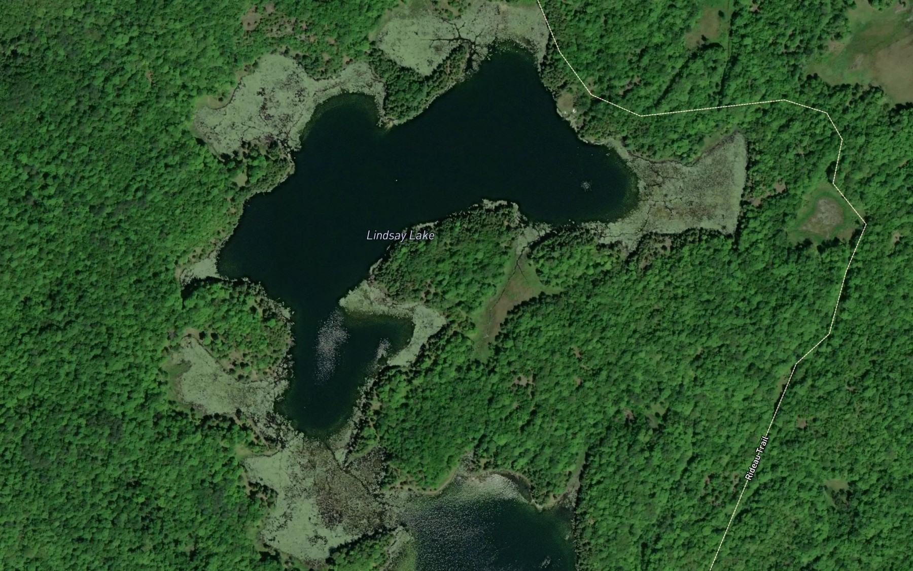 Satellite map of the Lindsay Lake