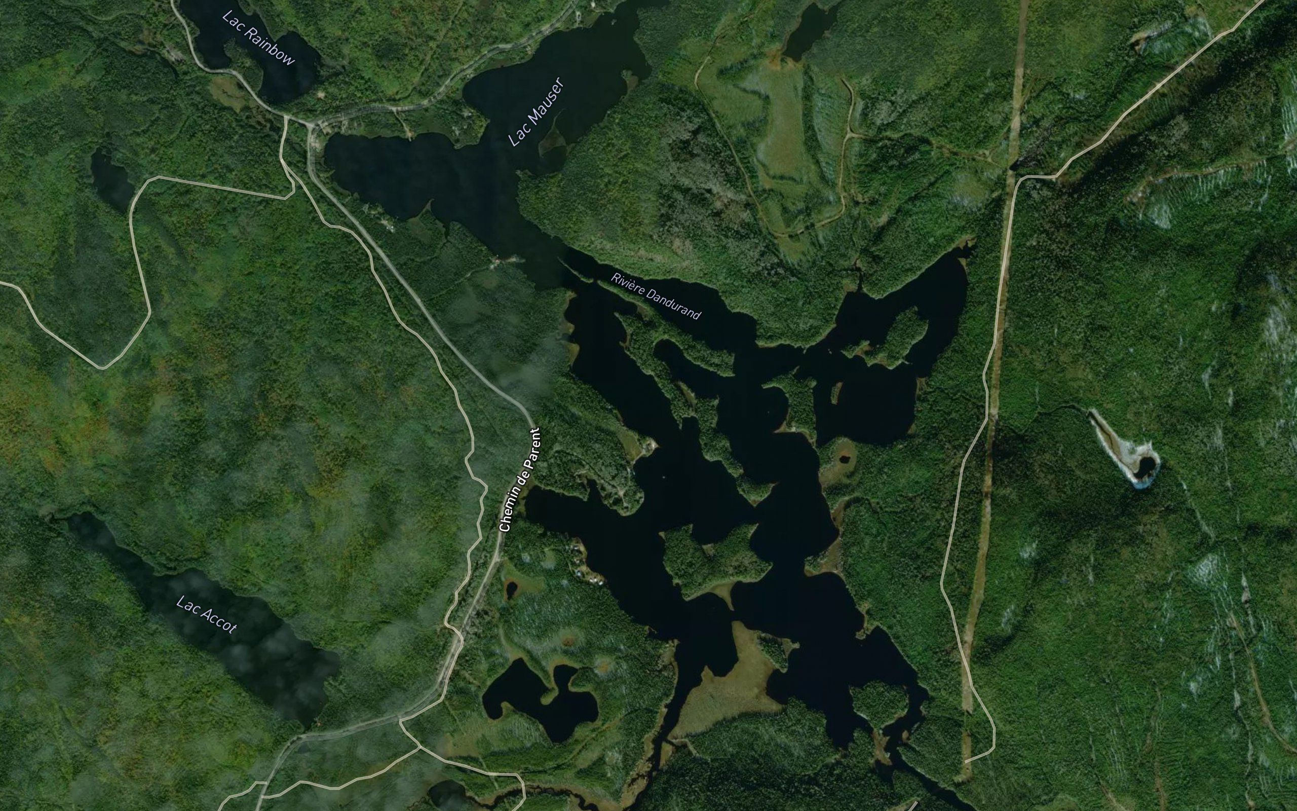 Lac Mauser