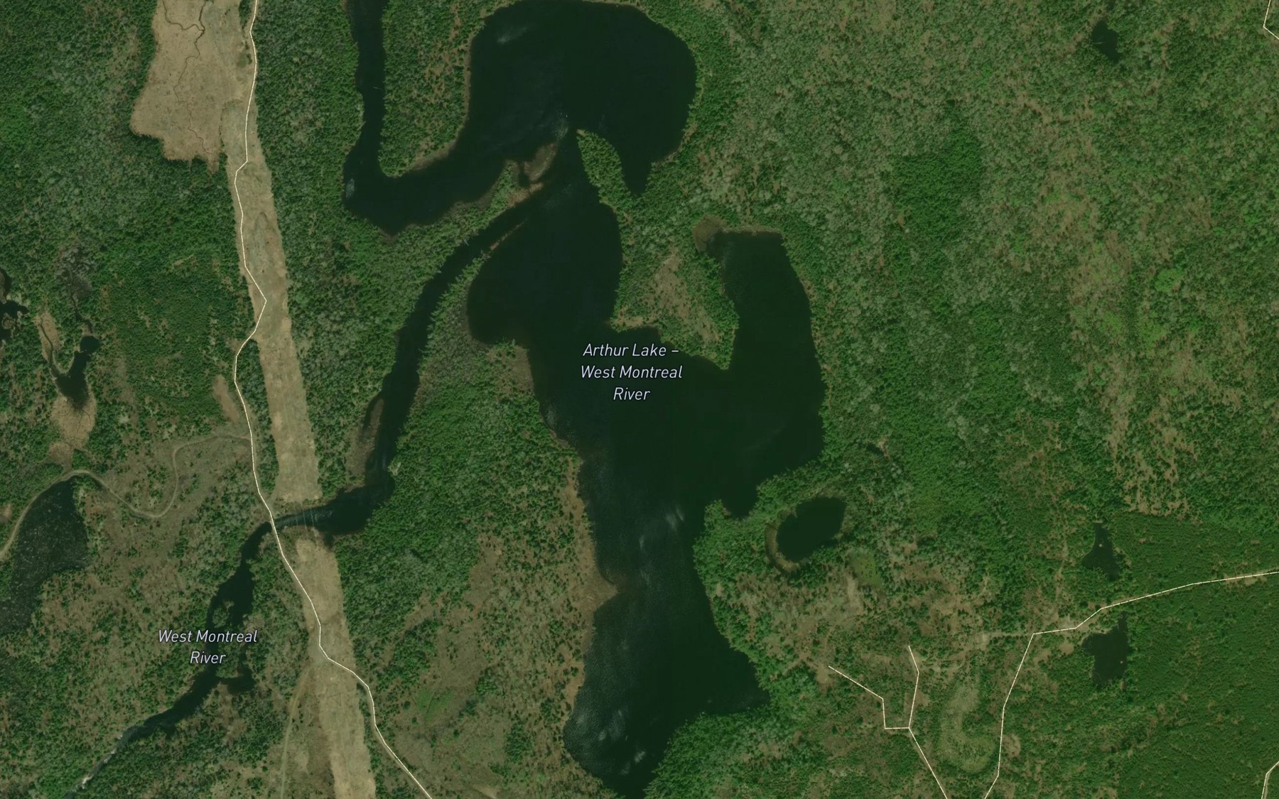 Satellite map of the Arthur Lake