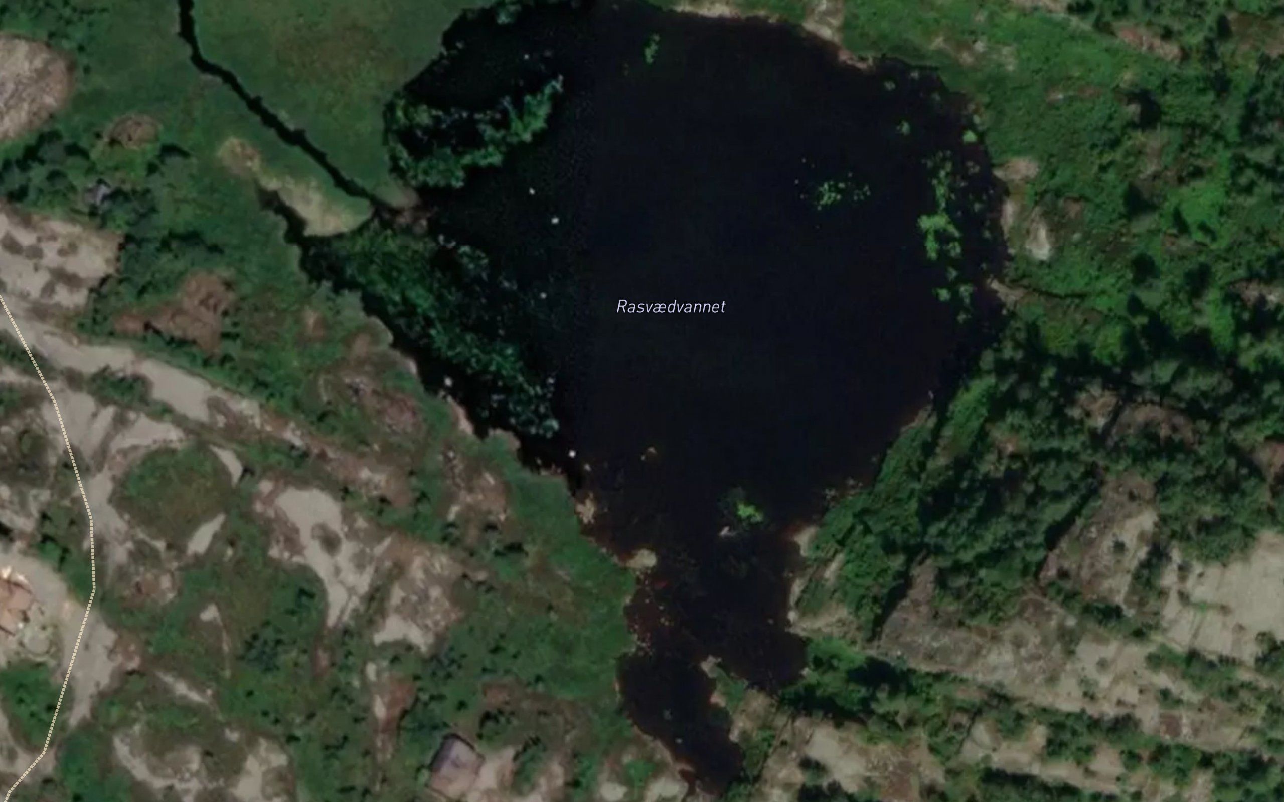 Rasvaedvannet