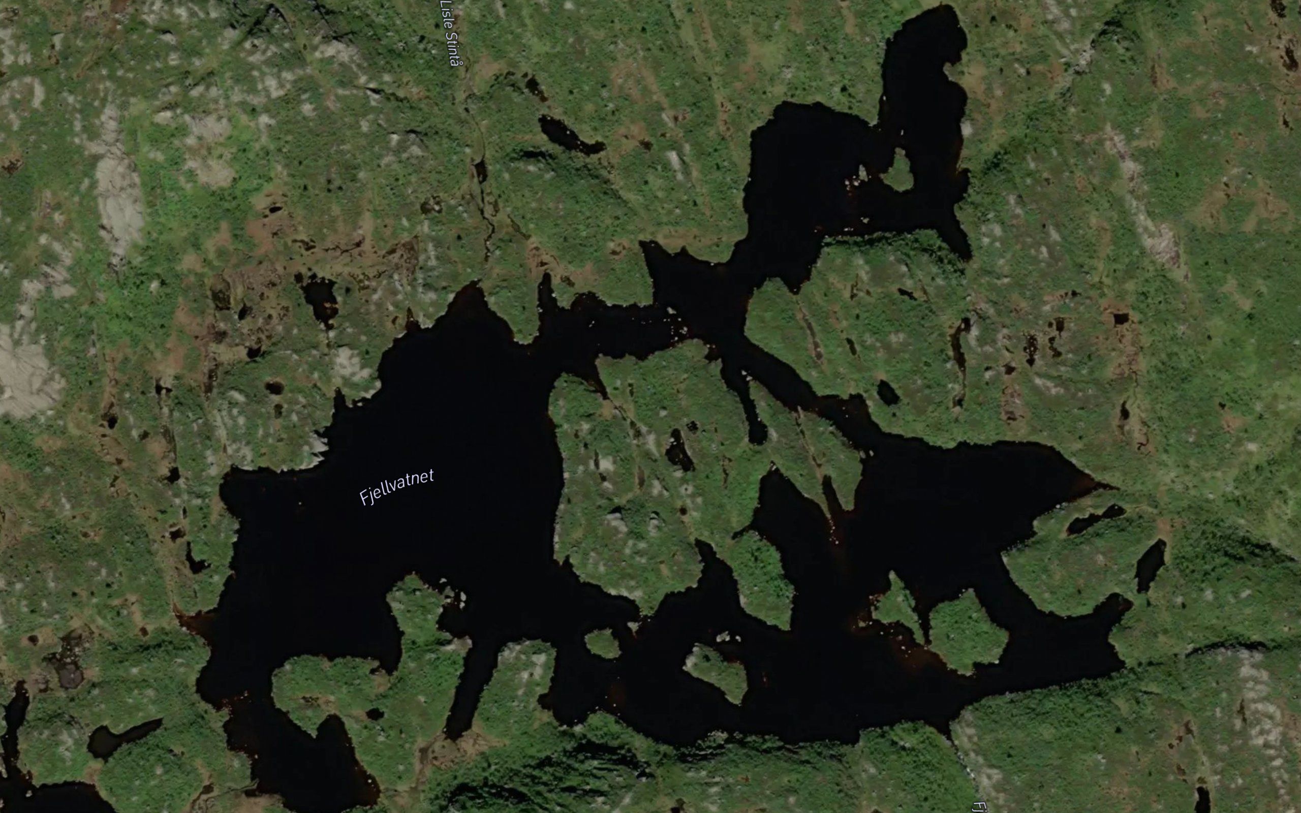 Fjellvatnet
