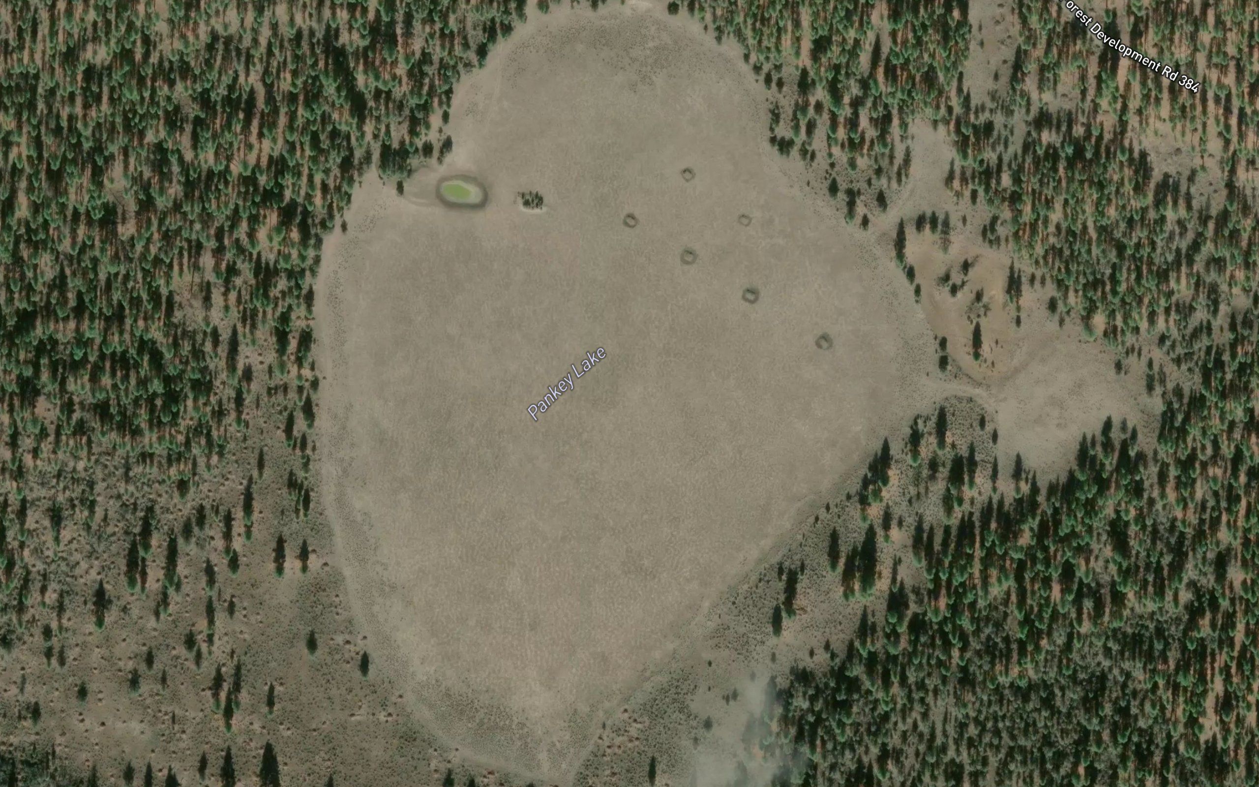 Pankey Lake