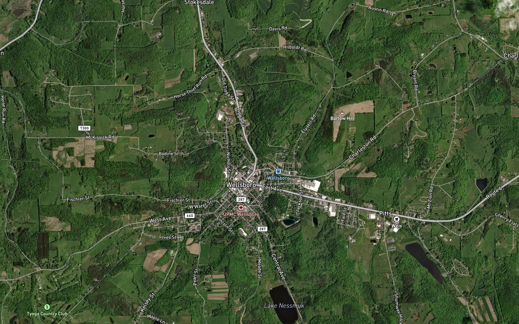 Satellite map of the Kelsey Creek