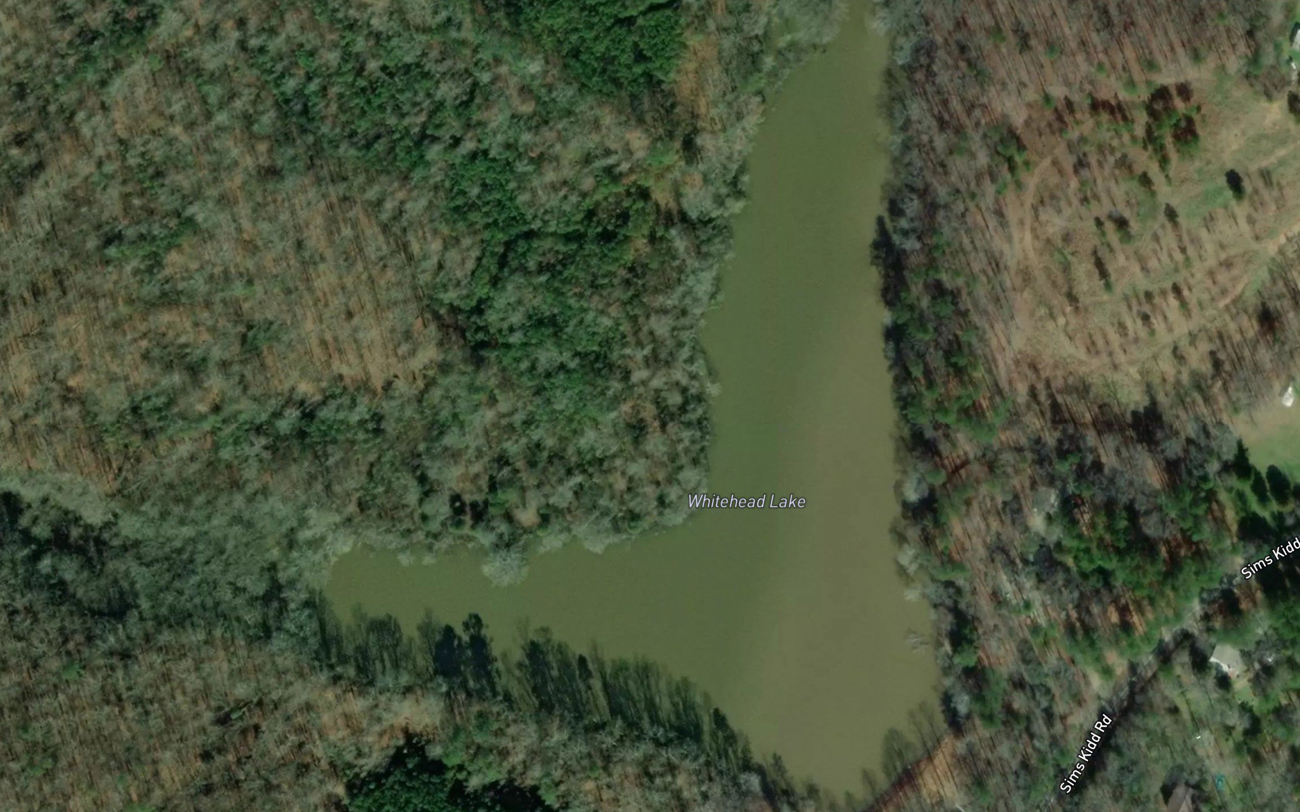 Whitehead Lake