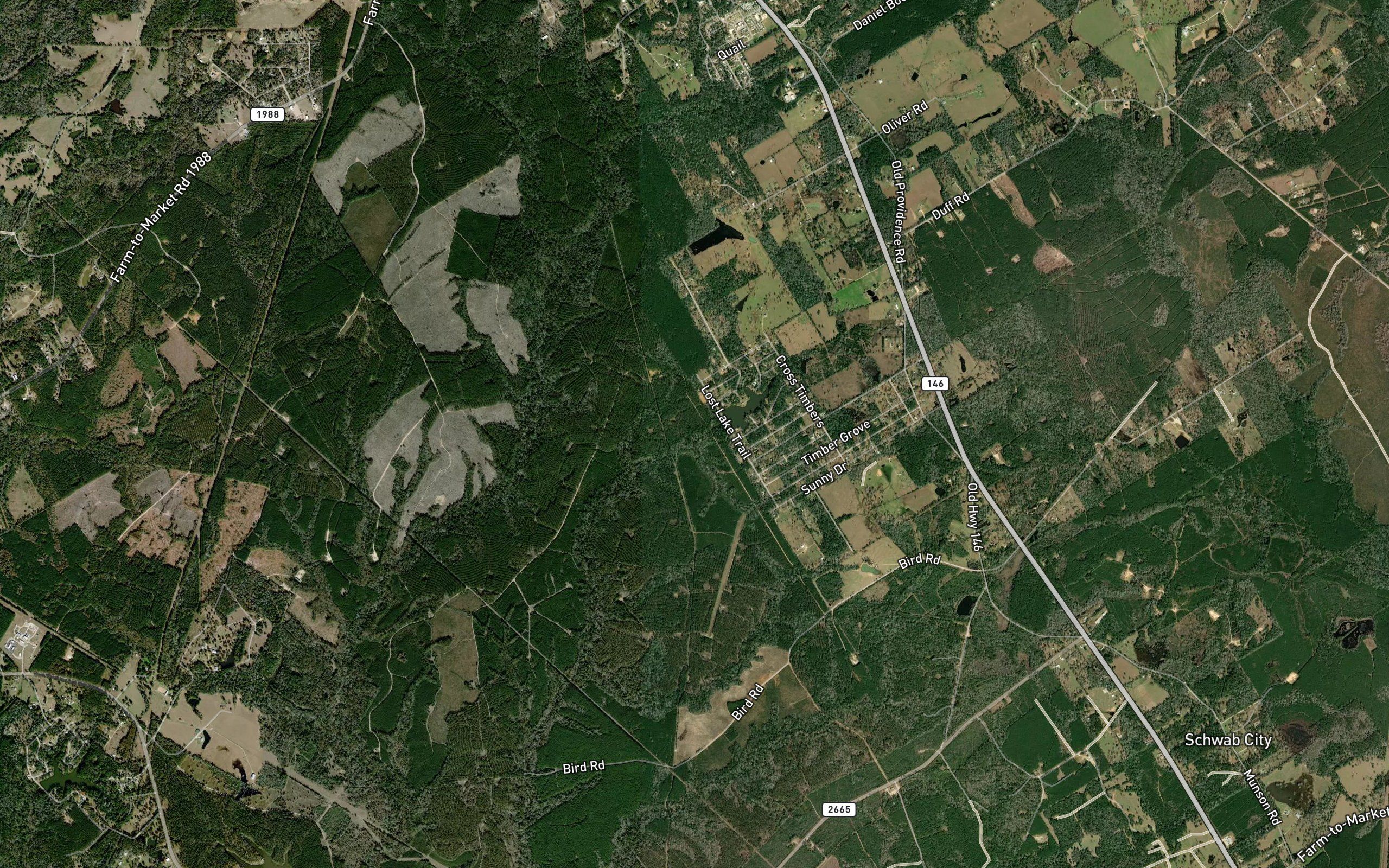 Forest Springs Lake