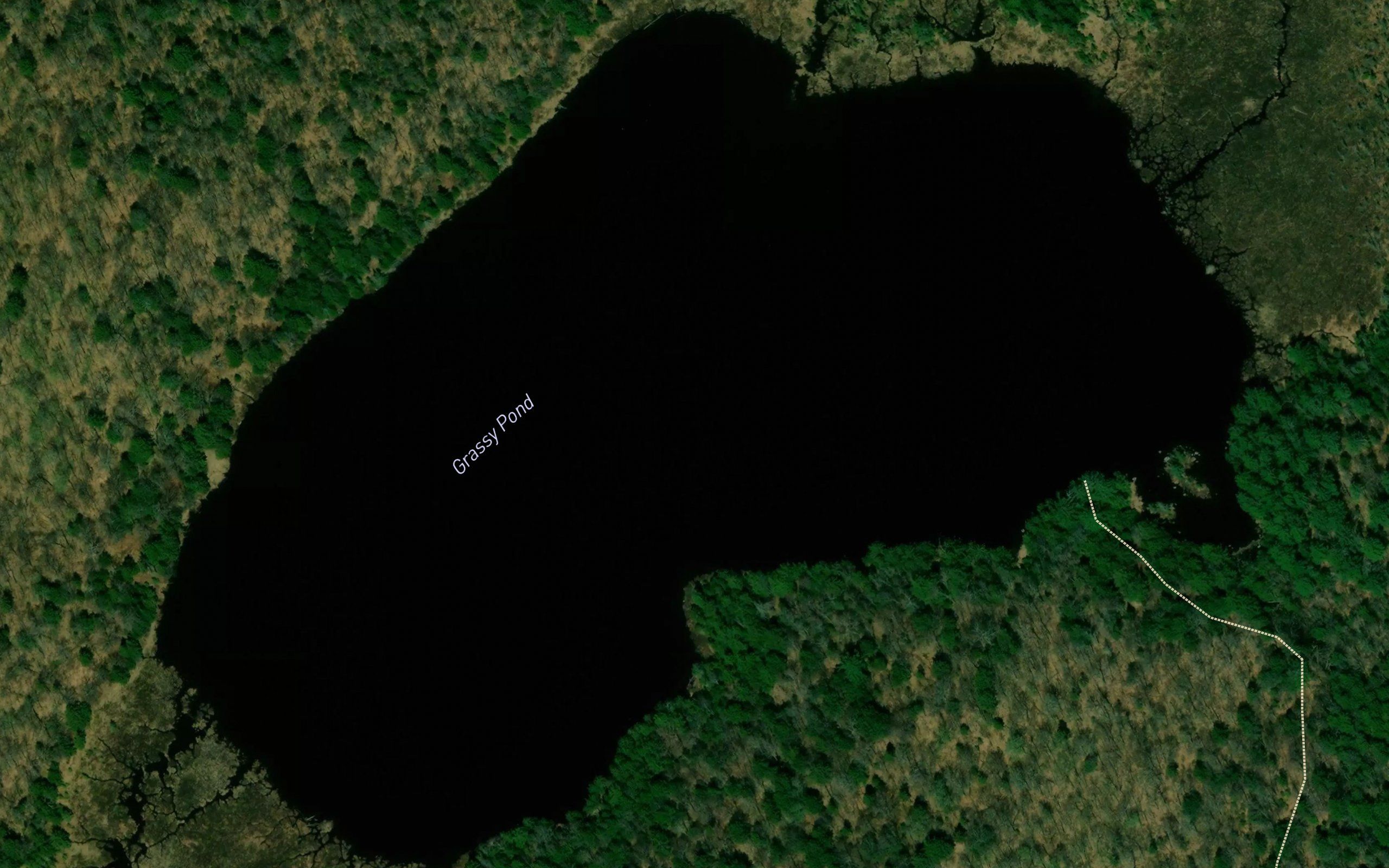 Grassy Pond