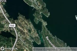 Skitnavika