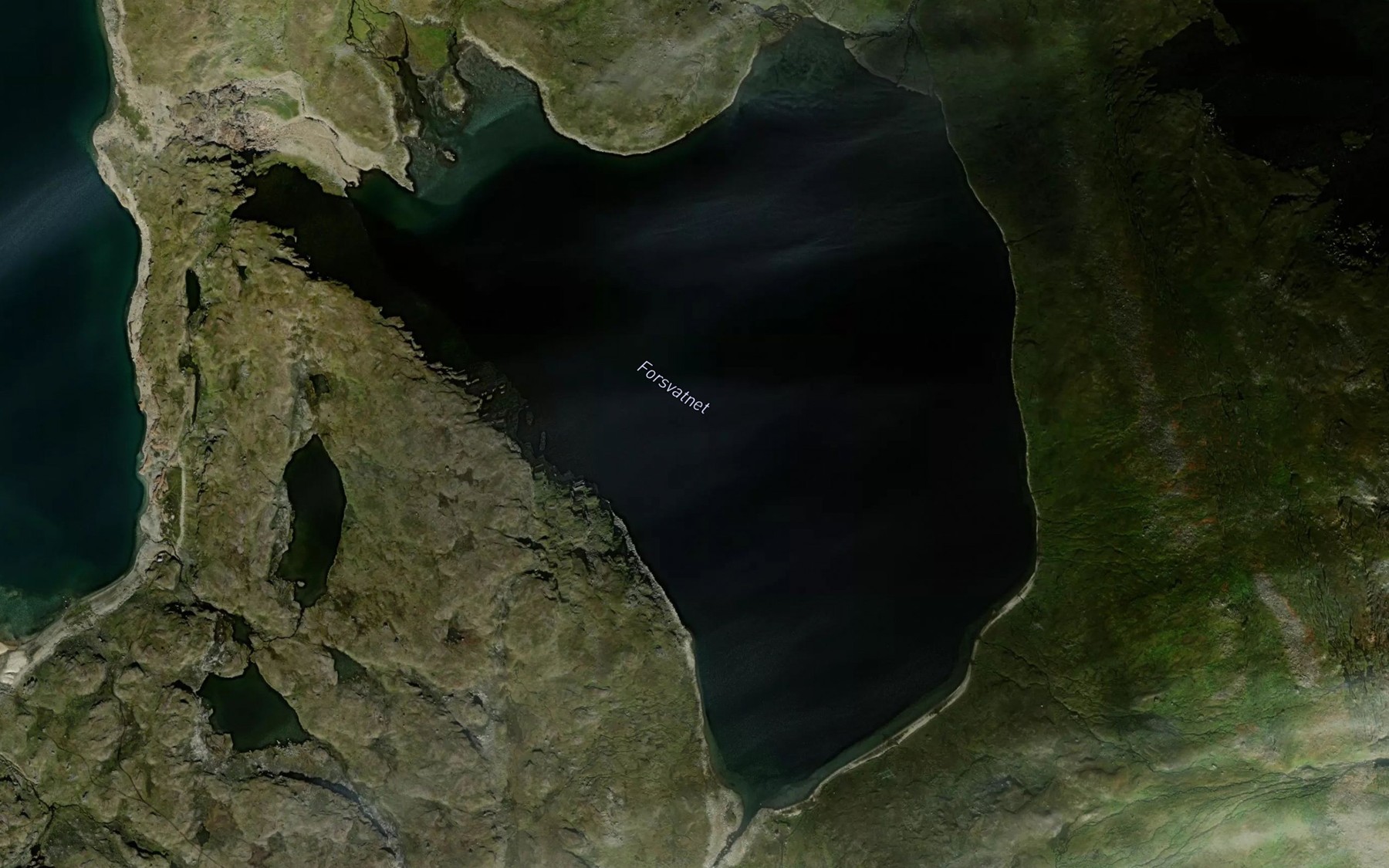 Satellite map of the Forsvatnet