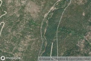 Brevicomis Creek