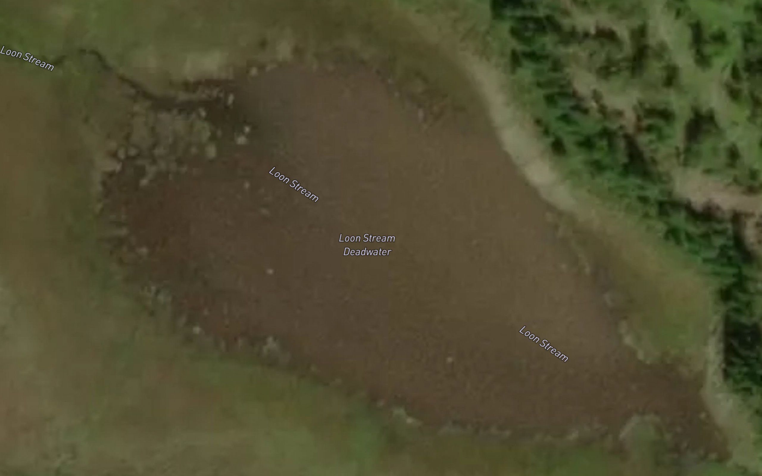 Loon Stream Deadwater