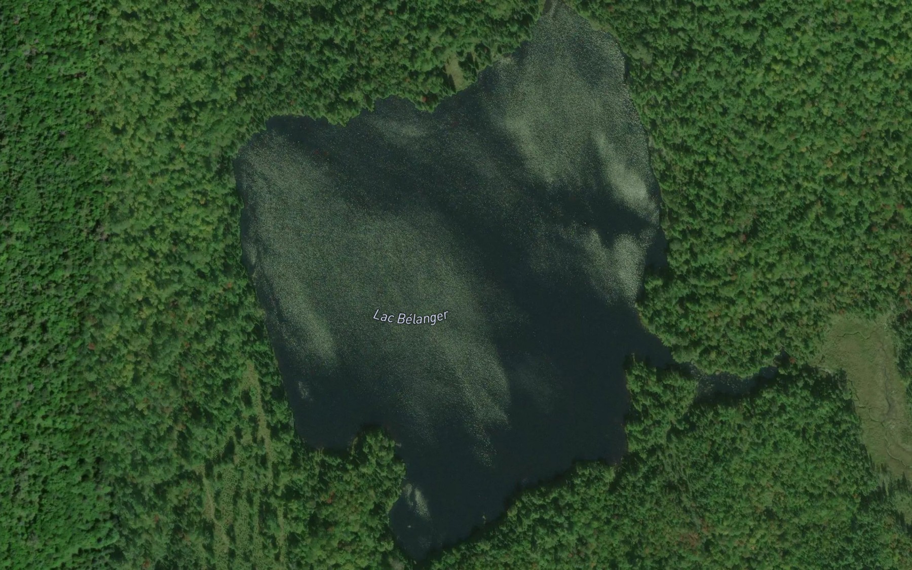 Satellite map of the Lac Belanger