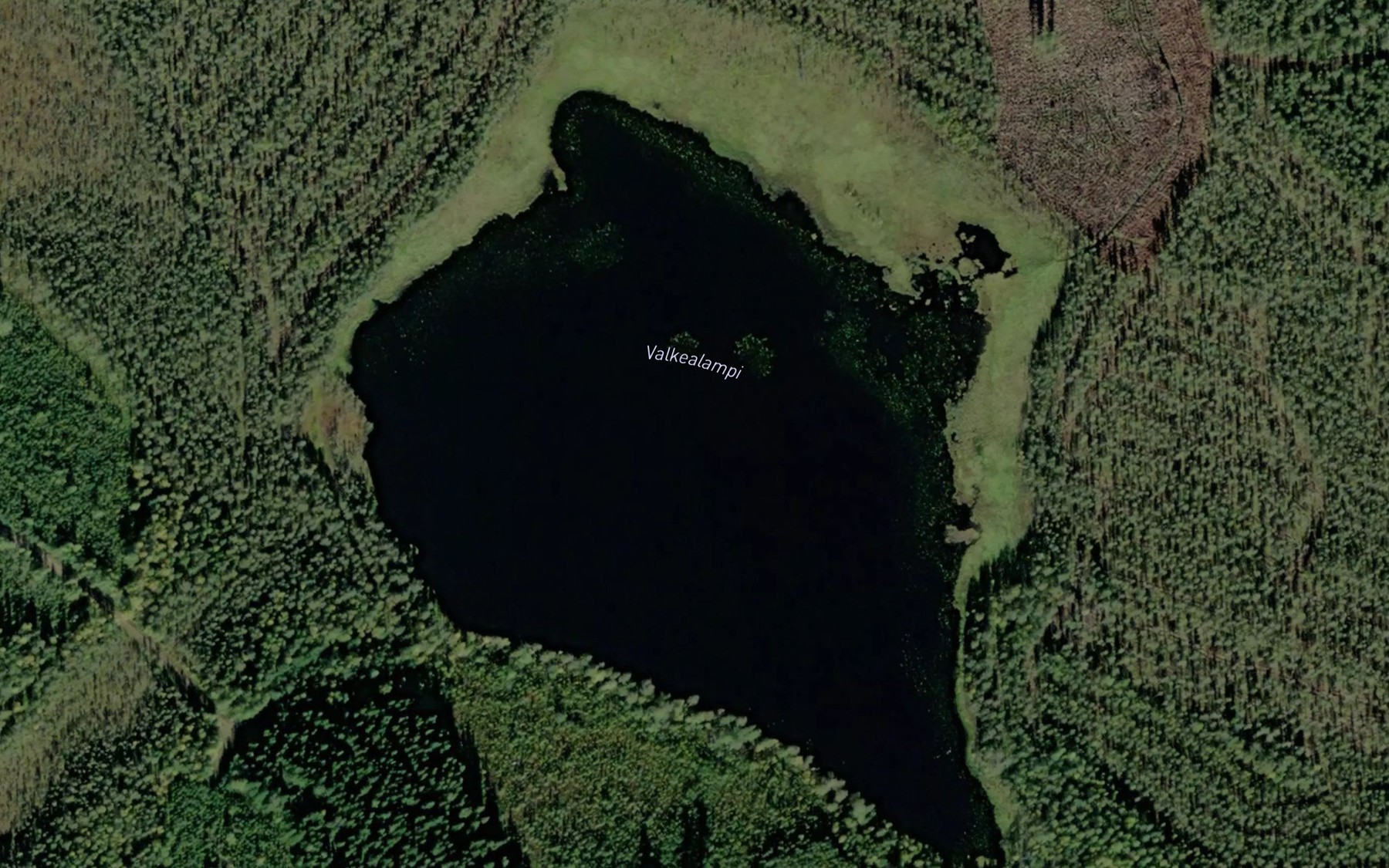 Satellite map of the Valkealampi
