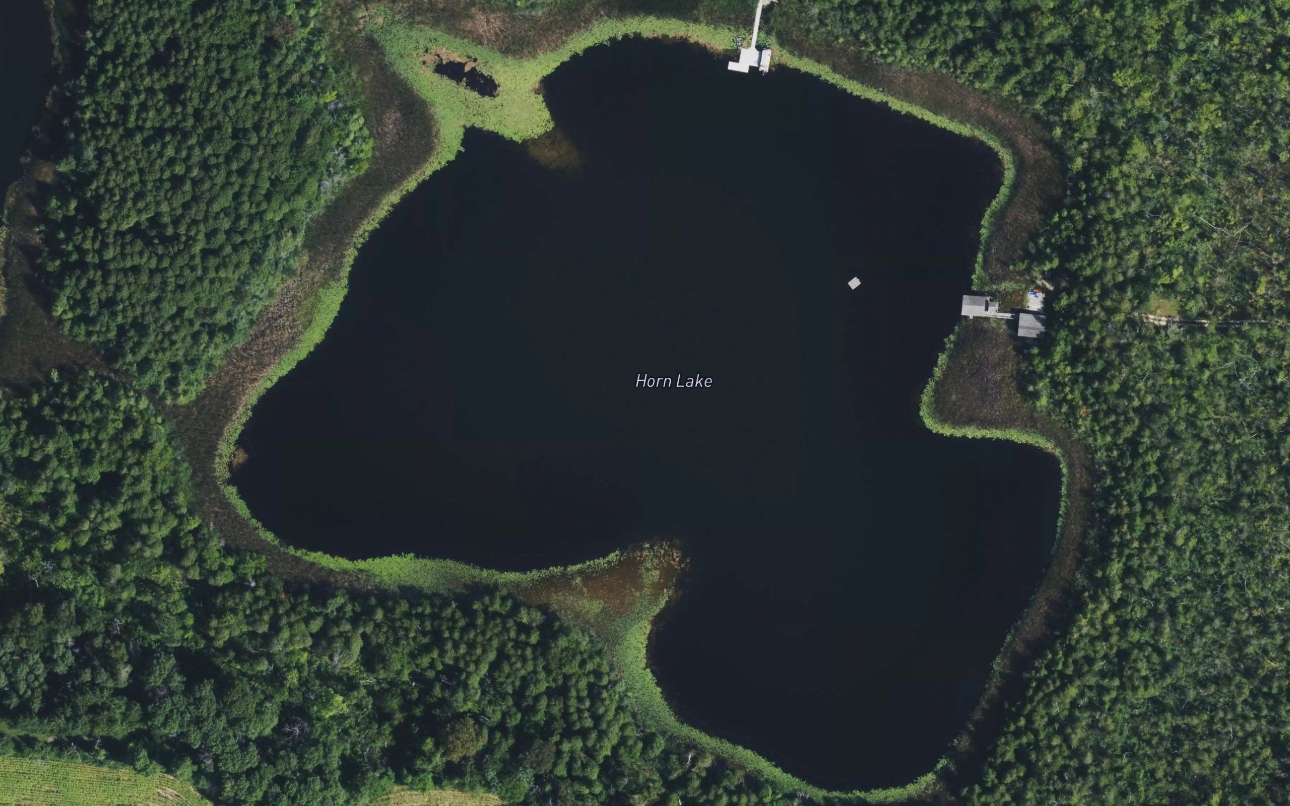 Horn Lake