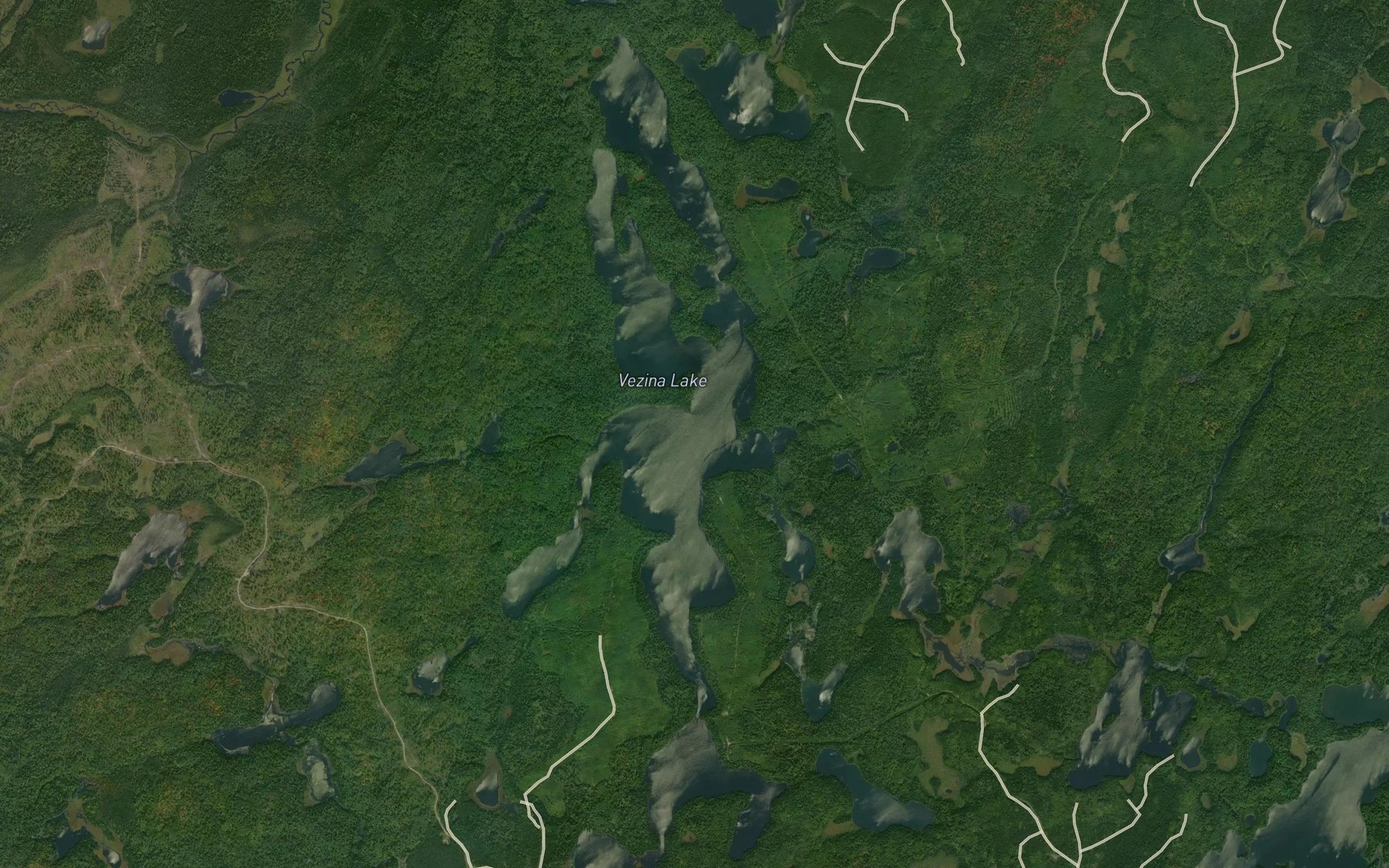 Satellite map of the Vezina Lake