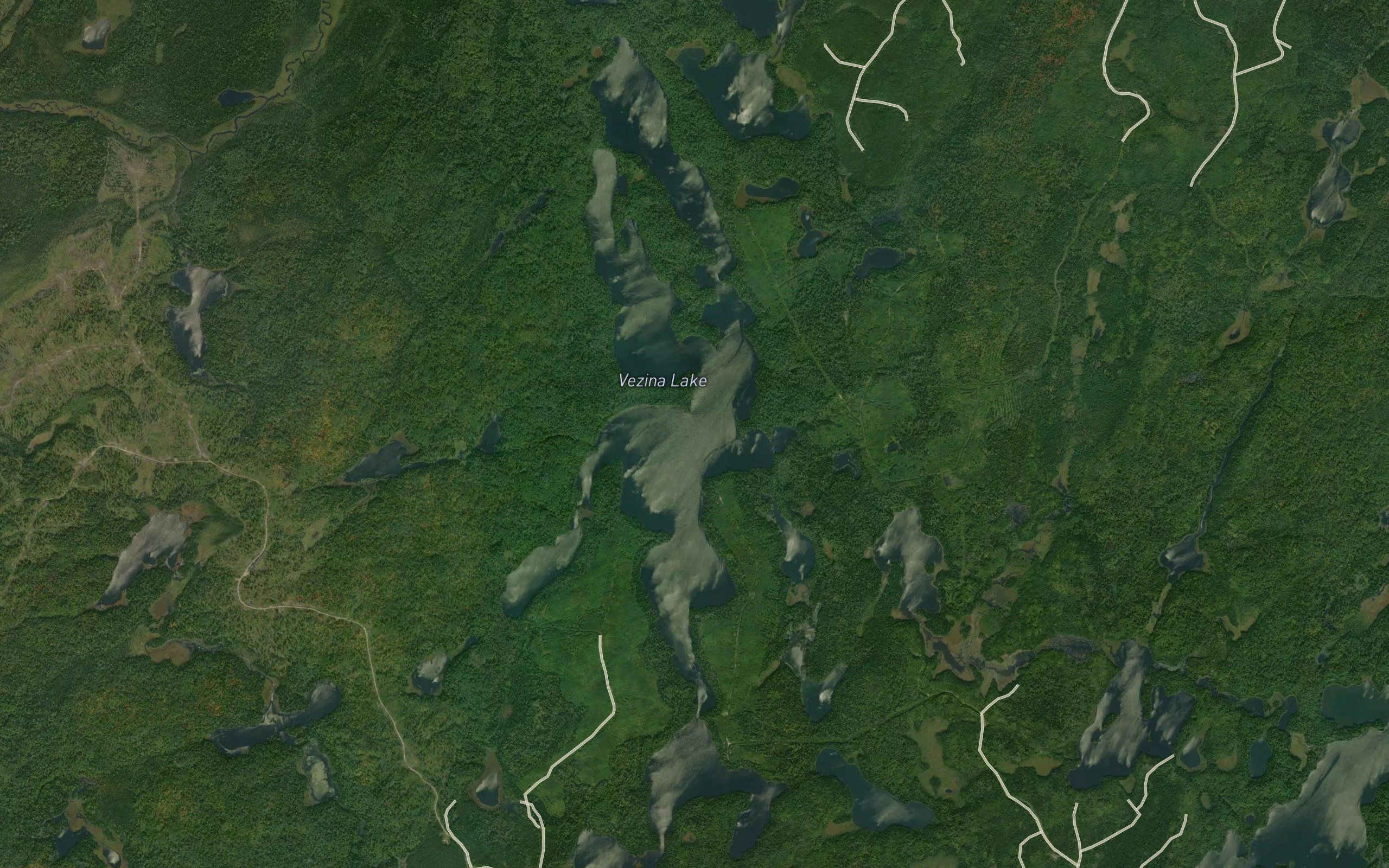 Vezina Lake