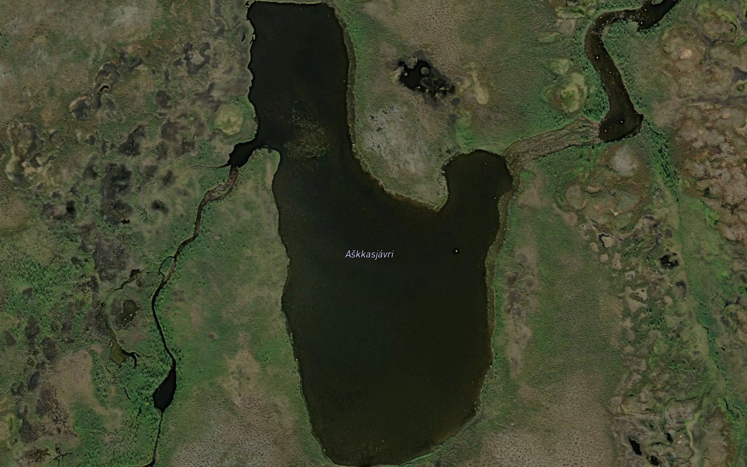 Askasjavri
