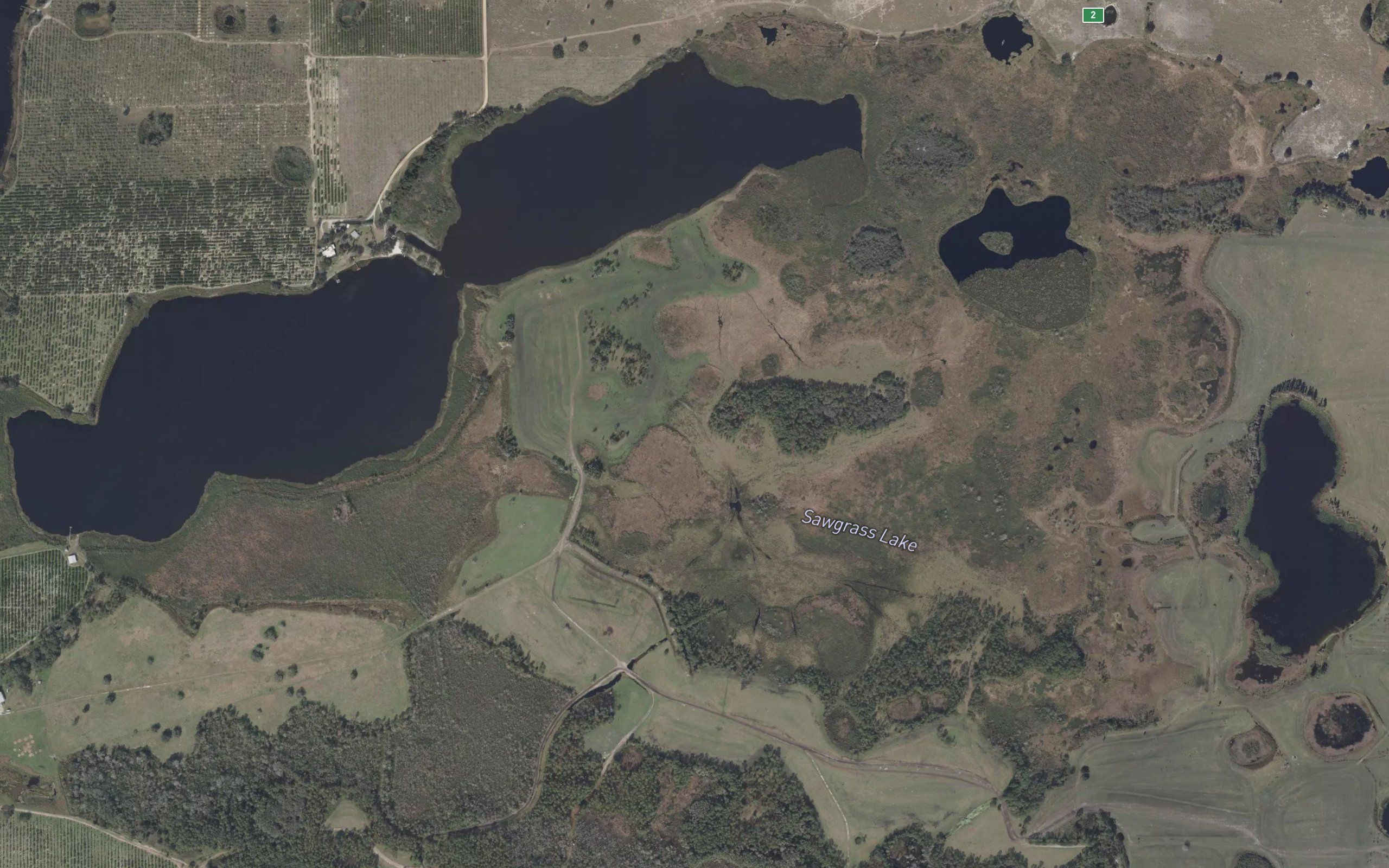 Sawgrass Lake