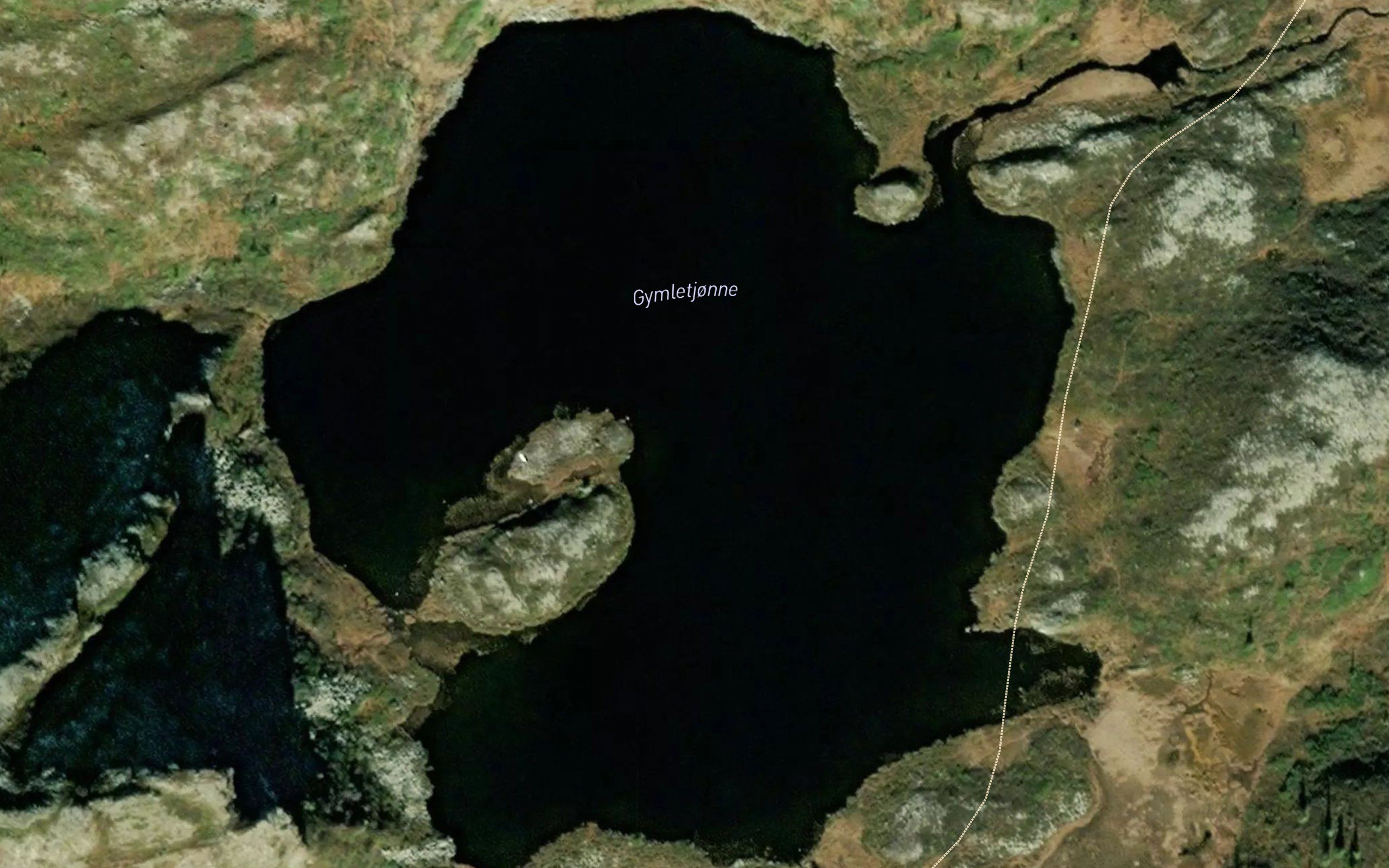 Gymletjorni