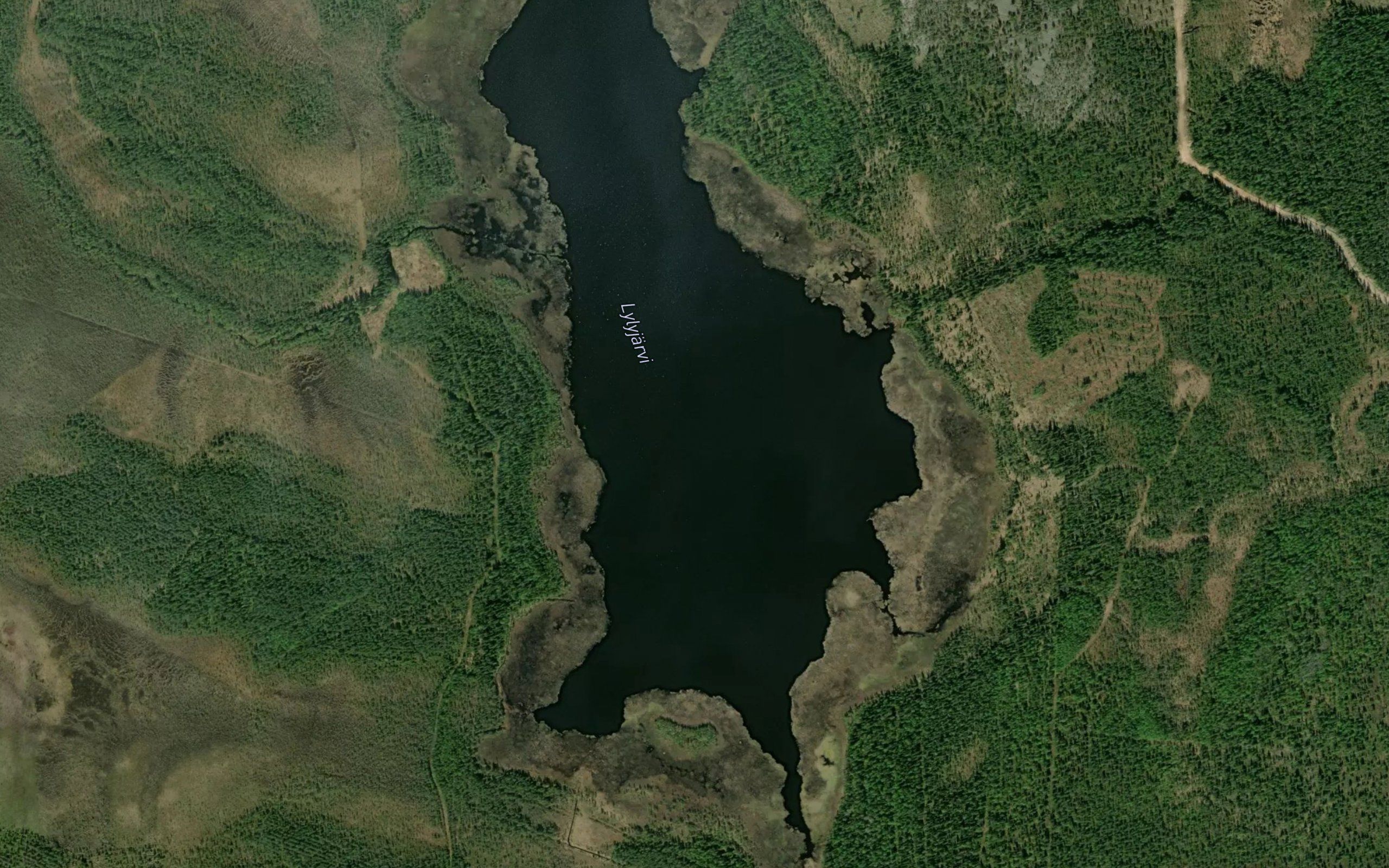 Lylyjarvi
