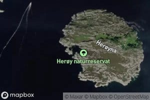 Storevagen