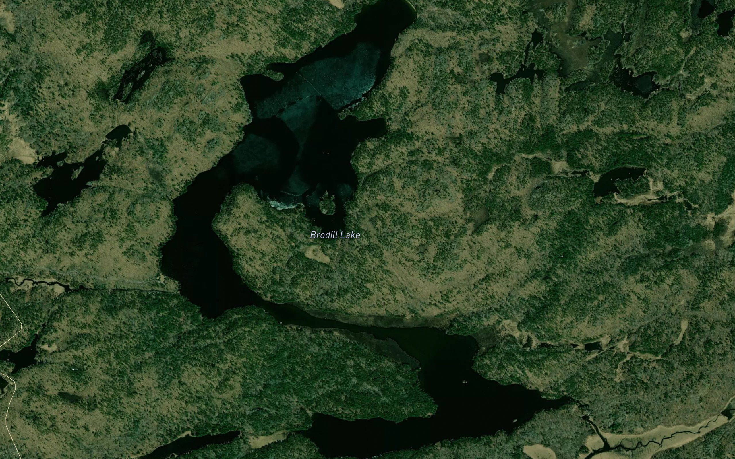Brodill Lake