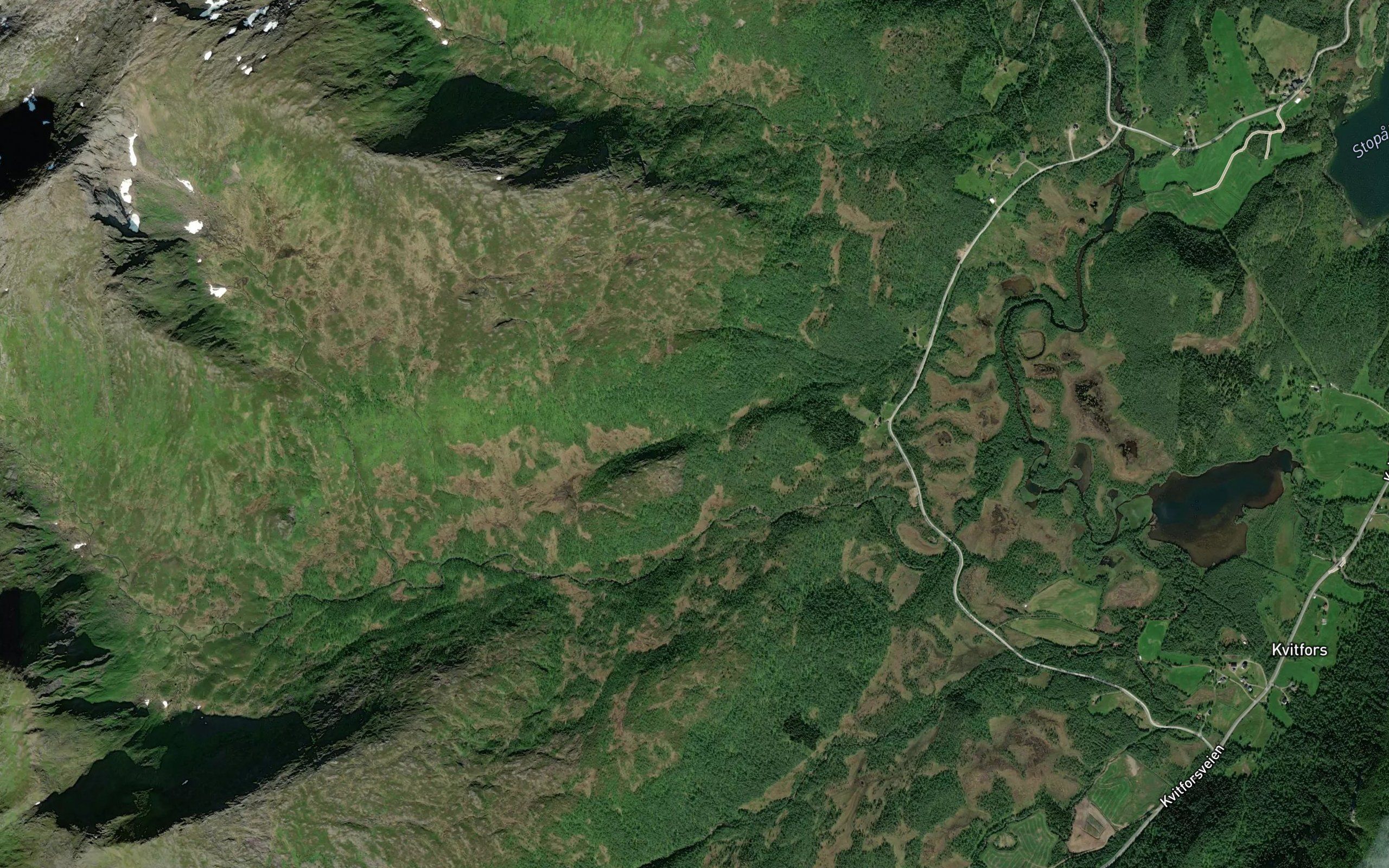 Kobbedalselva