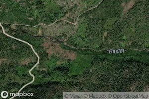 Bindol