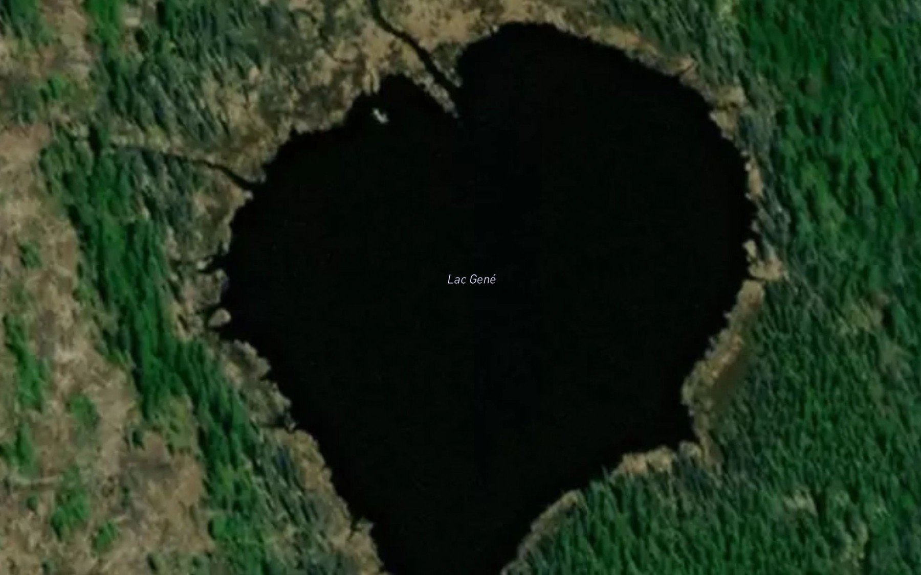 Satellite map of the Lac Gene