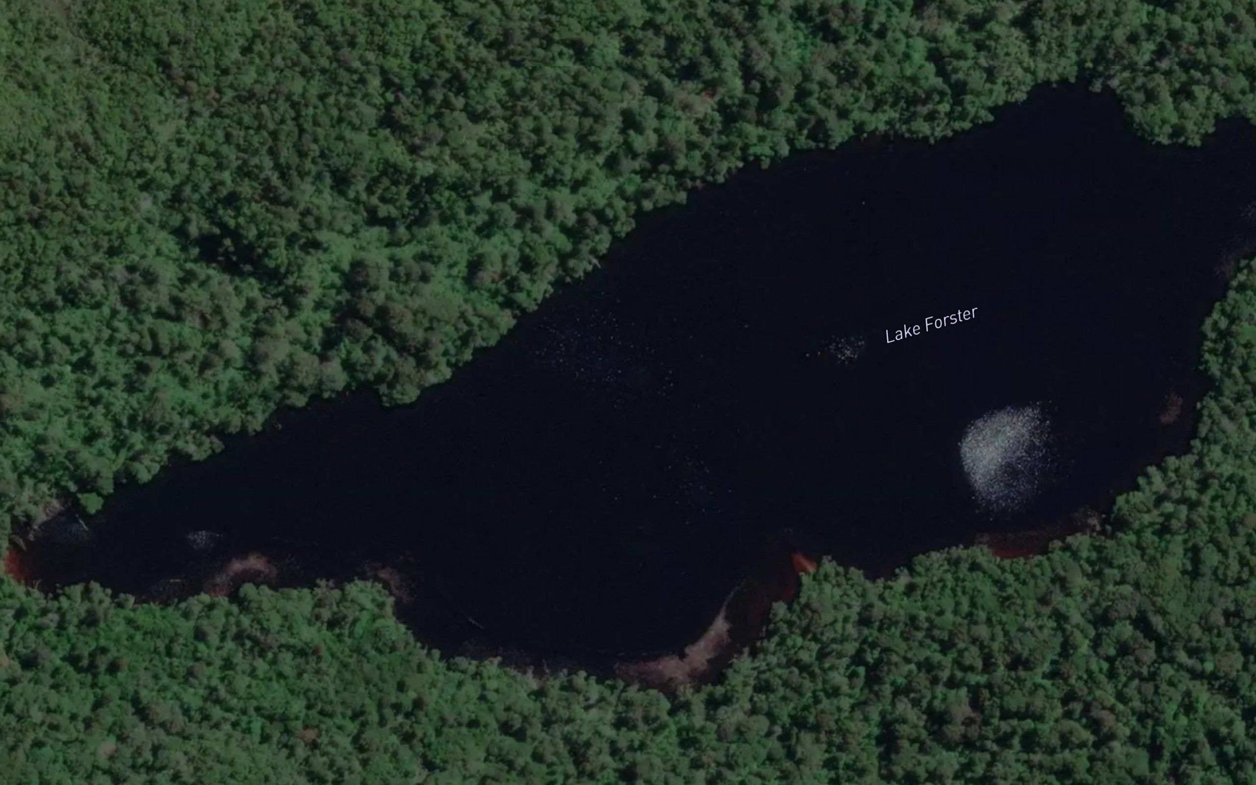 Lake Forster