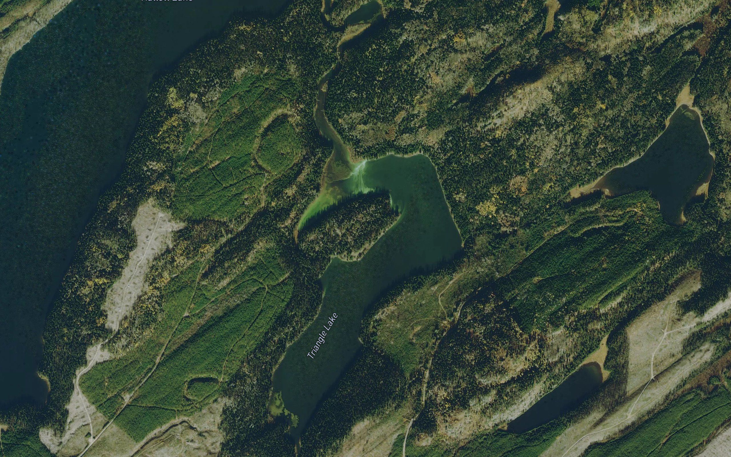 Triangle Lake