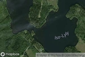 Iso-Lyly