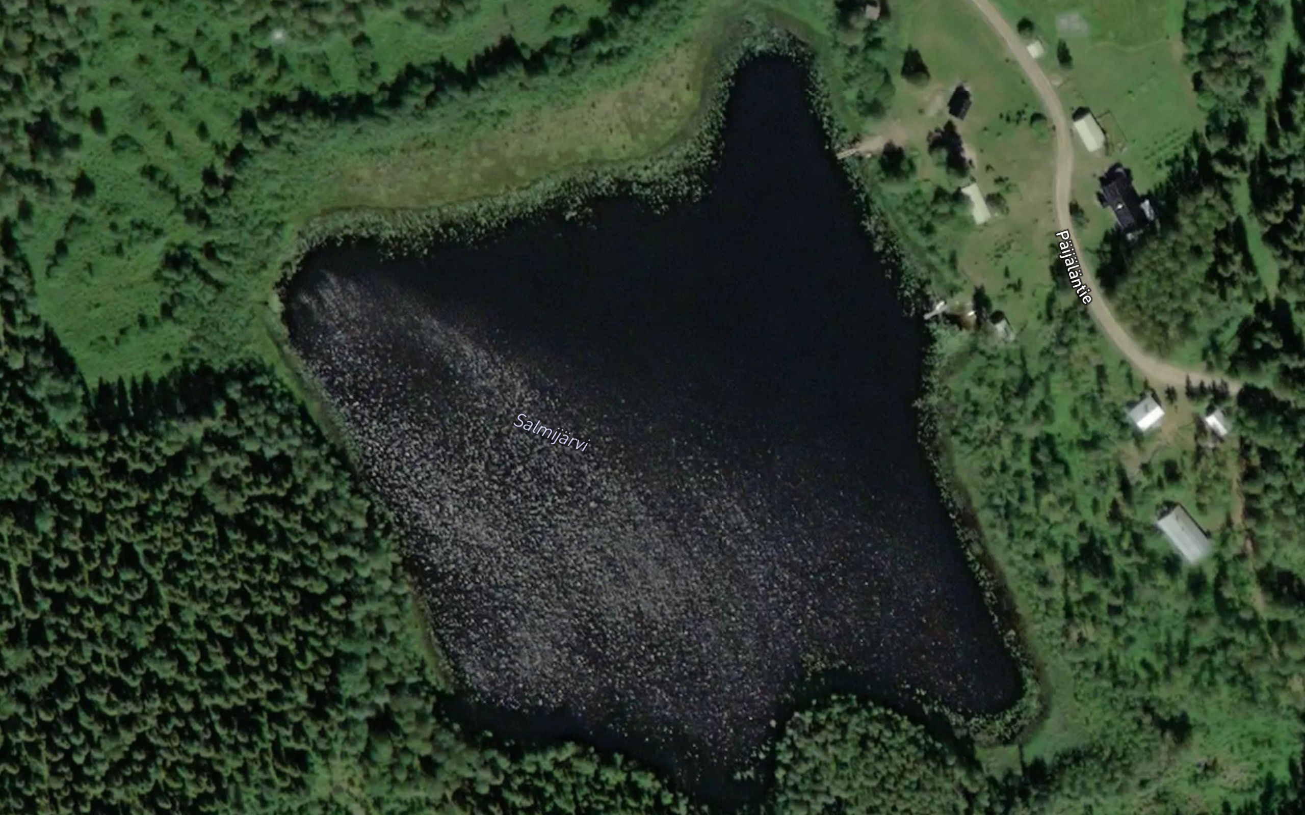 Salmijarvi