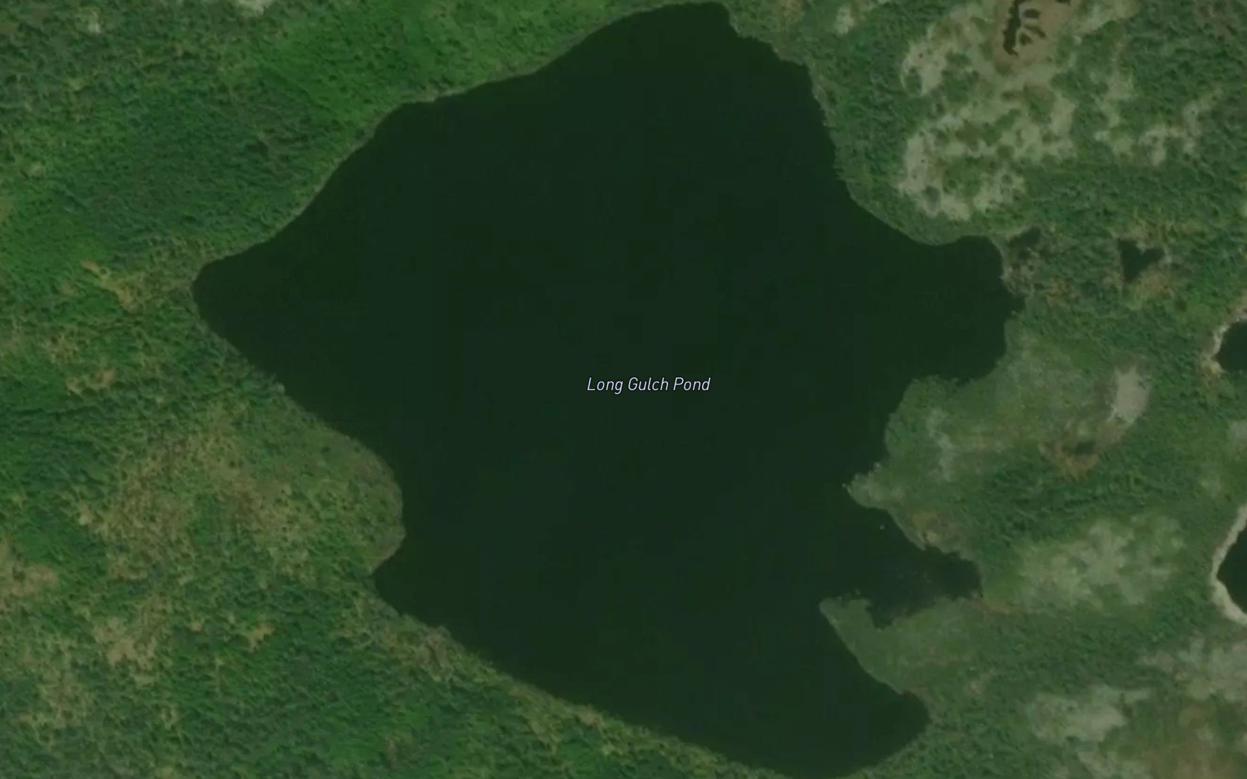 Long Gulch Pond