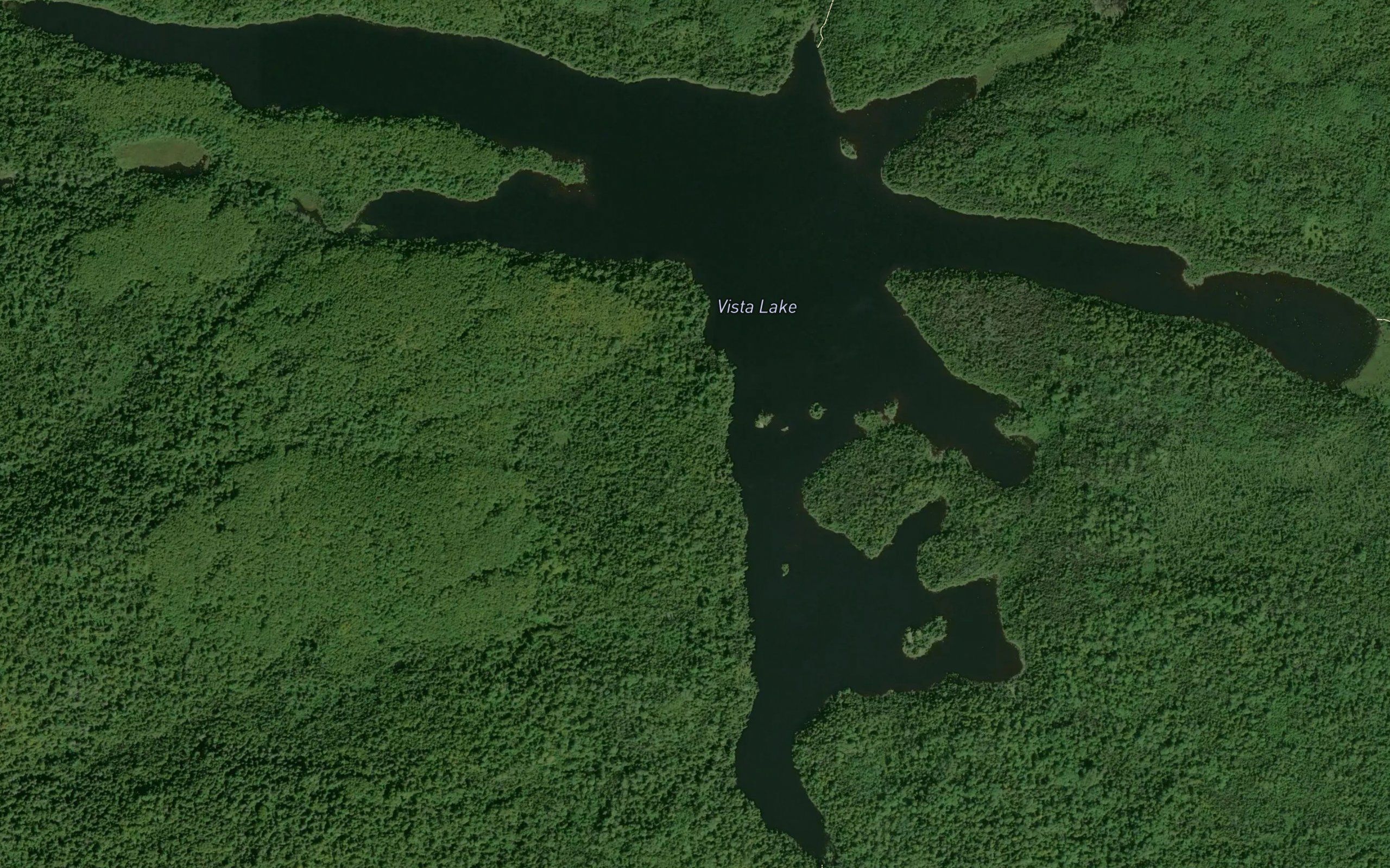 Vista Lake