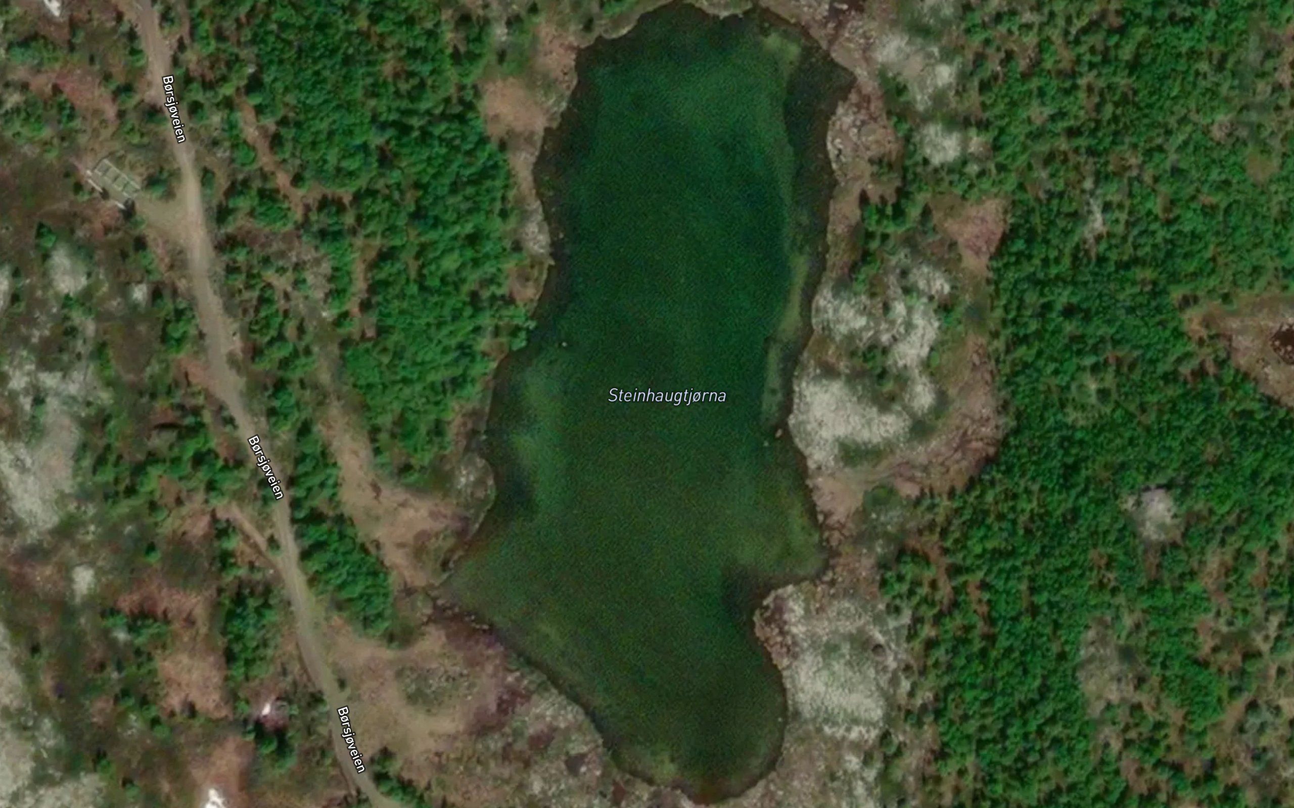 Steinhaugtjorna