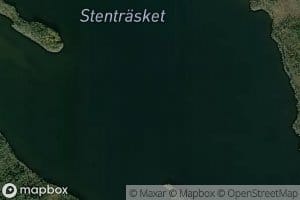 Stentrasket