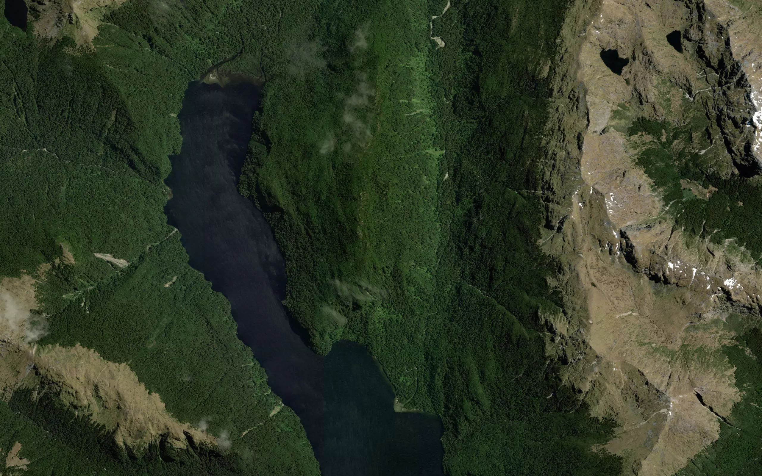 Russet Burn