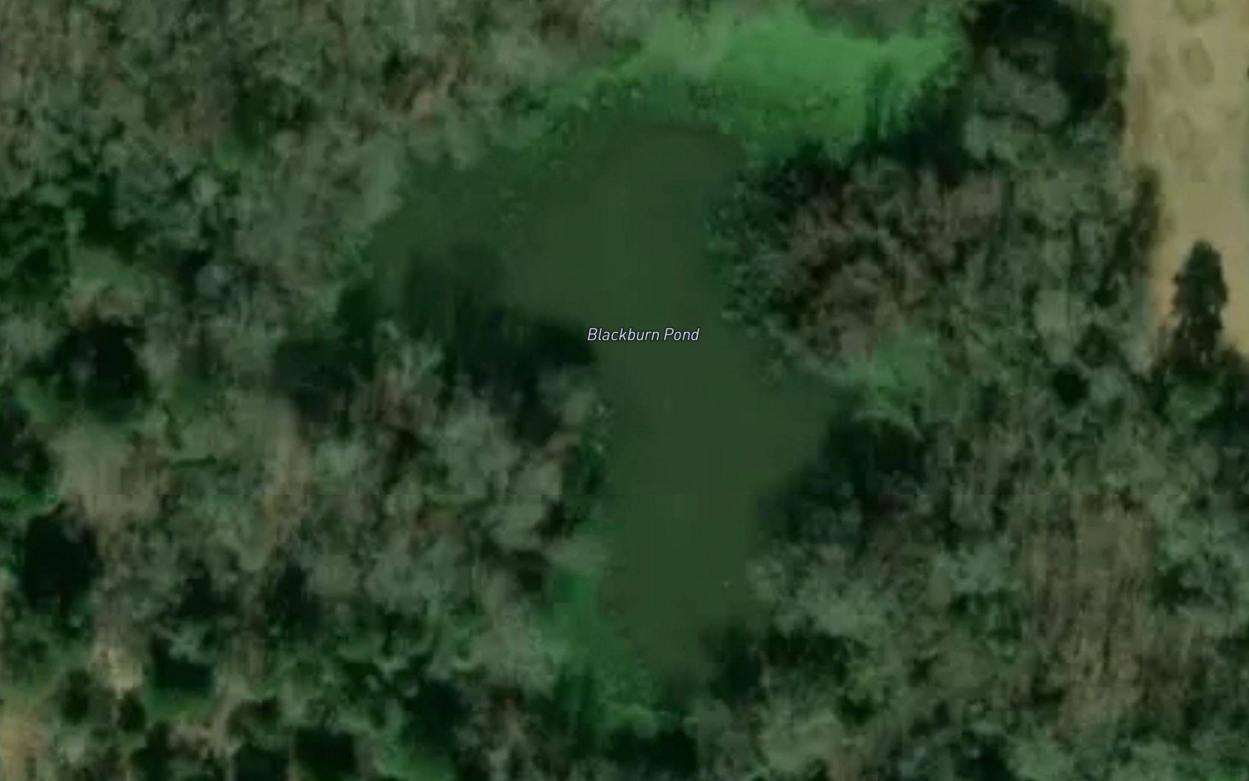 Blackburn Pond