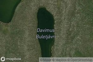 Buletjavri,davimus